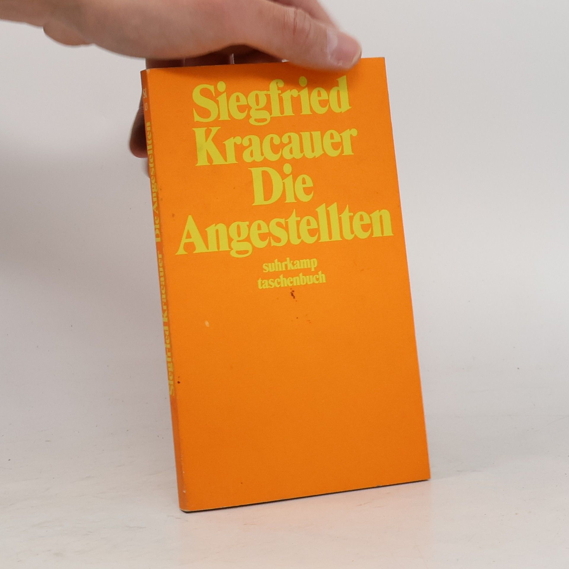 Siegfried Kracauer Die Angestellten