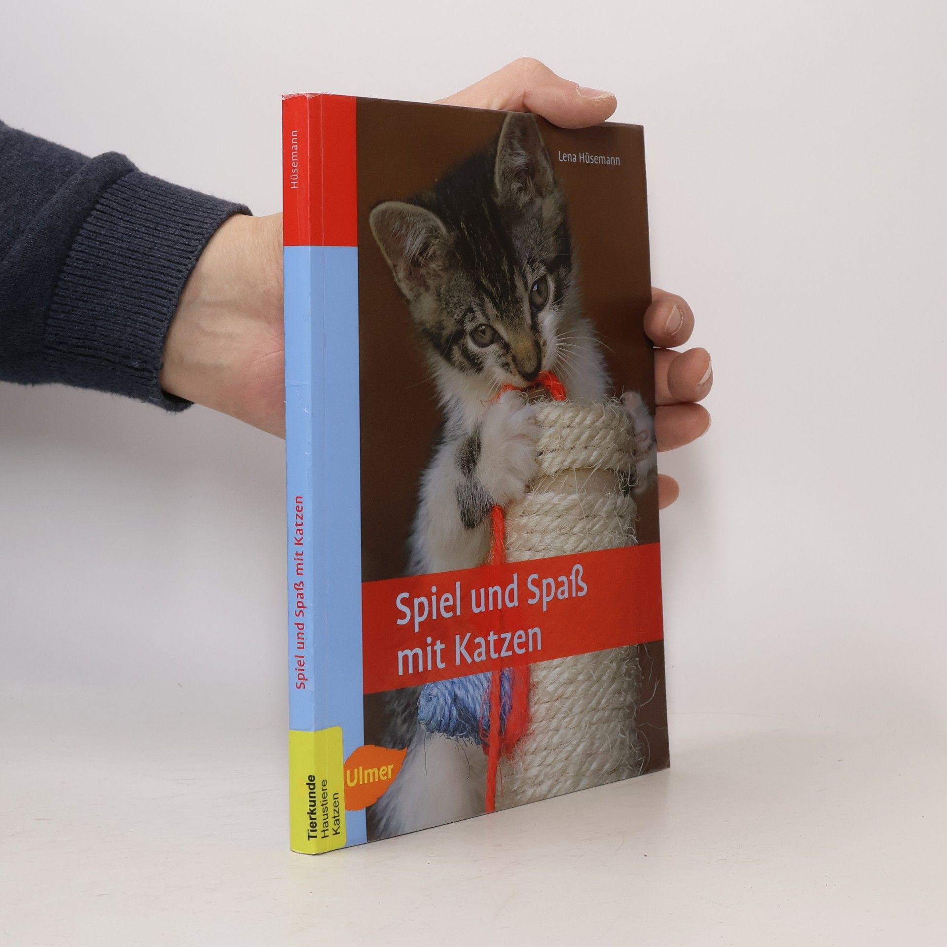Lena Hüsemann Spiel und Spaß mit Katzen