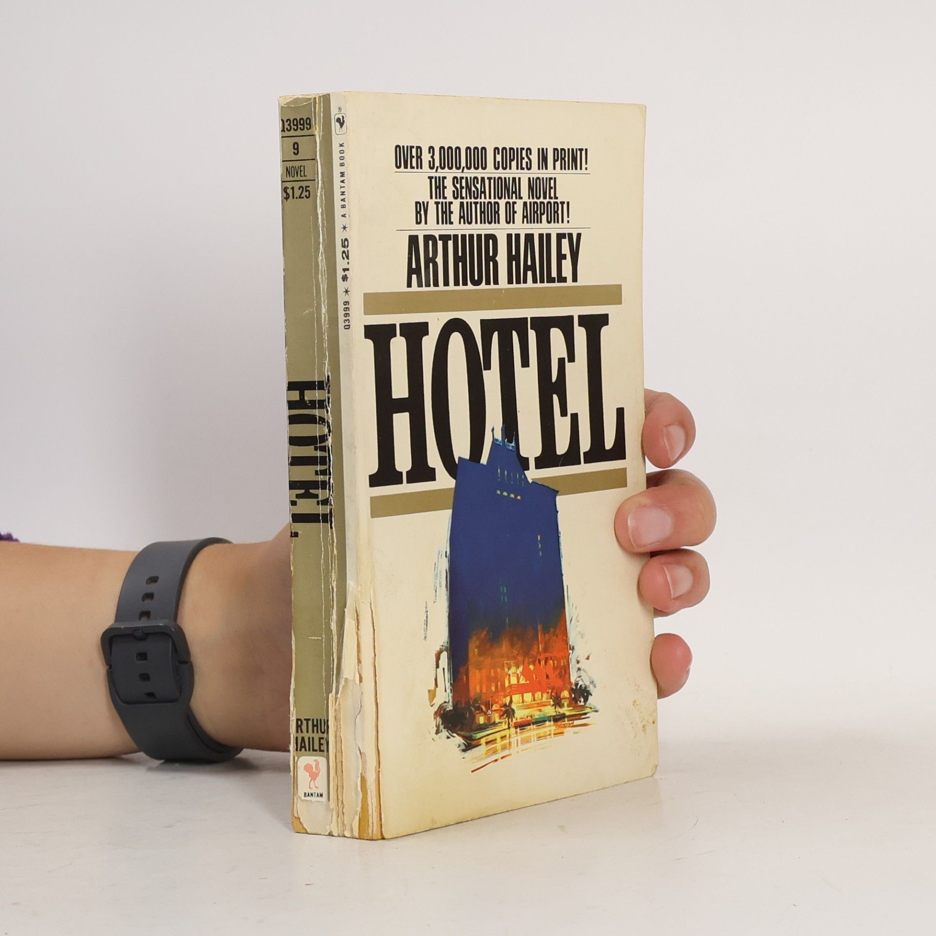 Arthur Hailey hotel