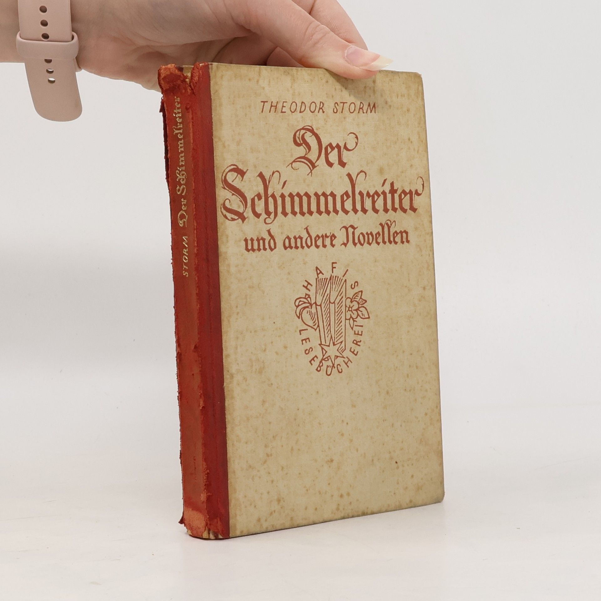 Hans Theodor Woldsen Storm Der Schimmelreiter und andere Novellen