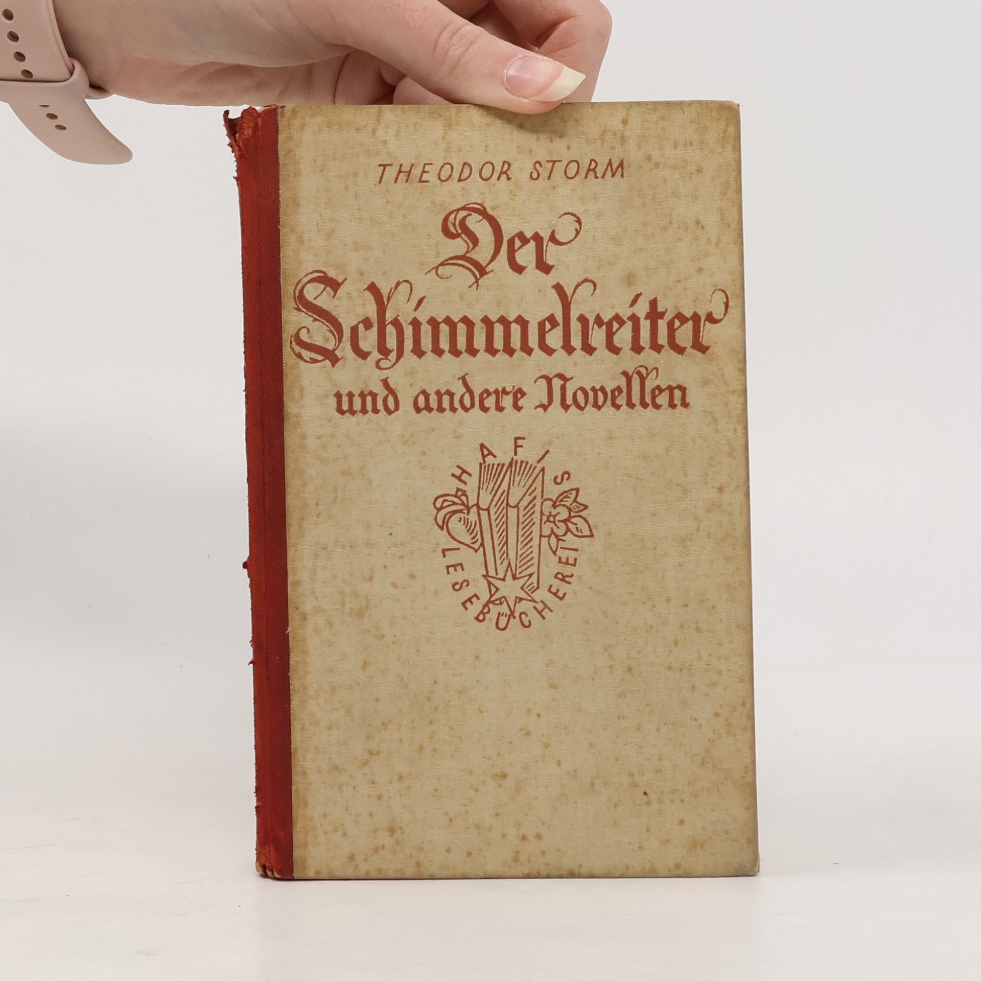 Hans Theodor Woldsen Storm Der Schimmelreiter und andere Novellen