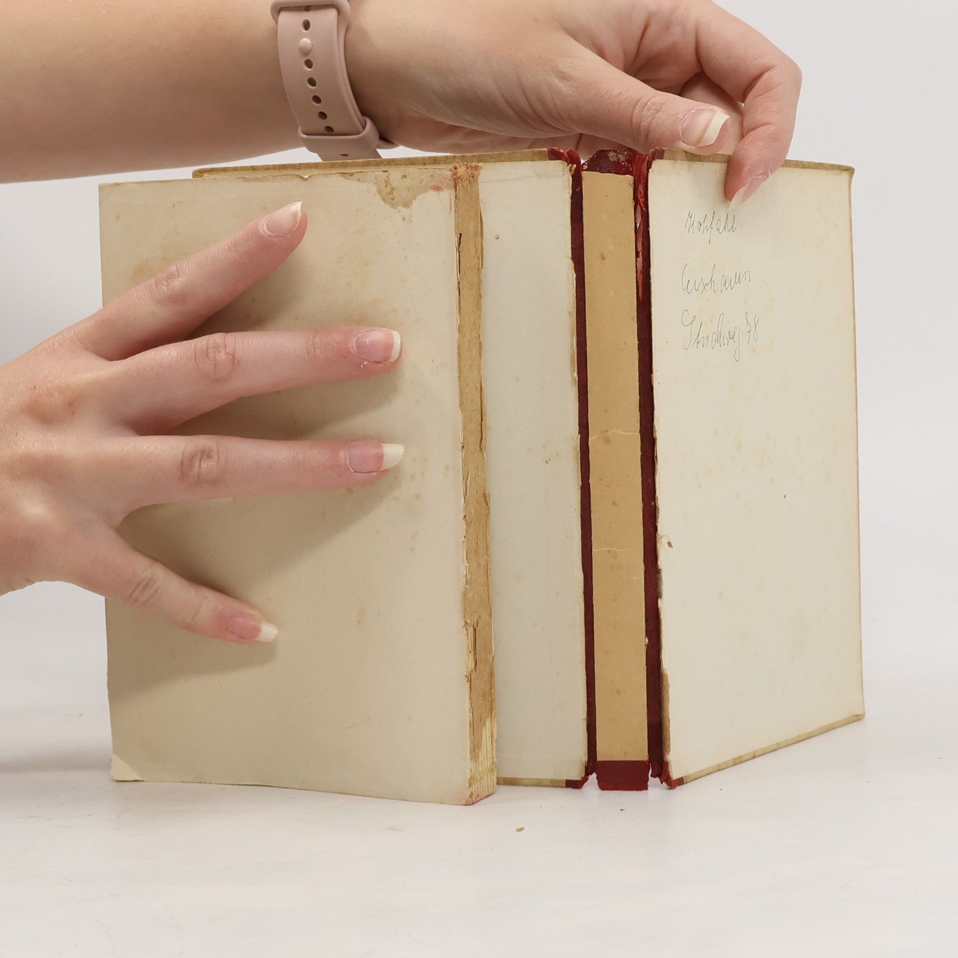 Hans Theodor Woldsen Storm Der Schimmelreiter und andere Novellen
