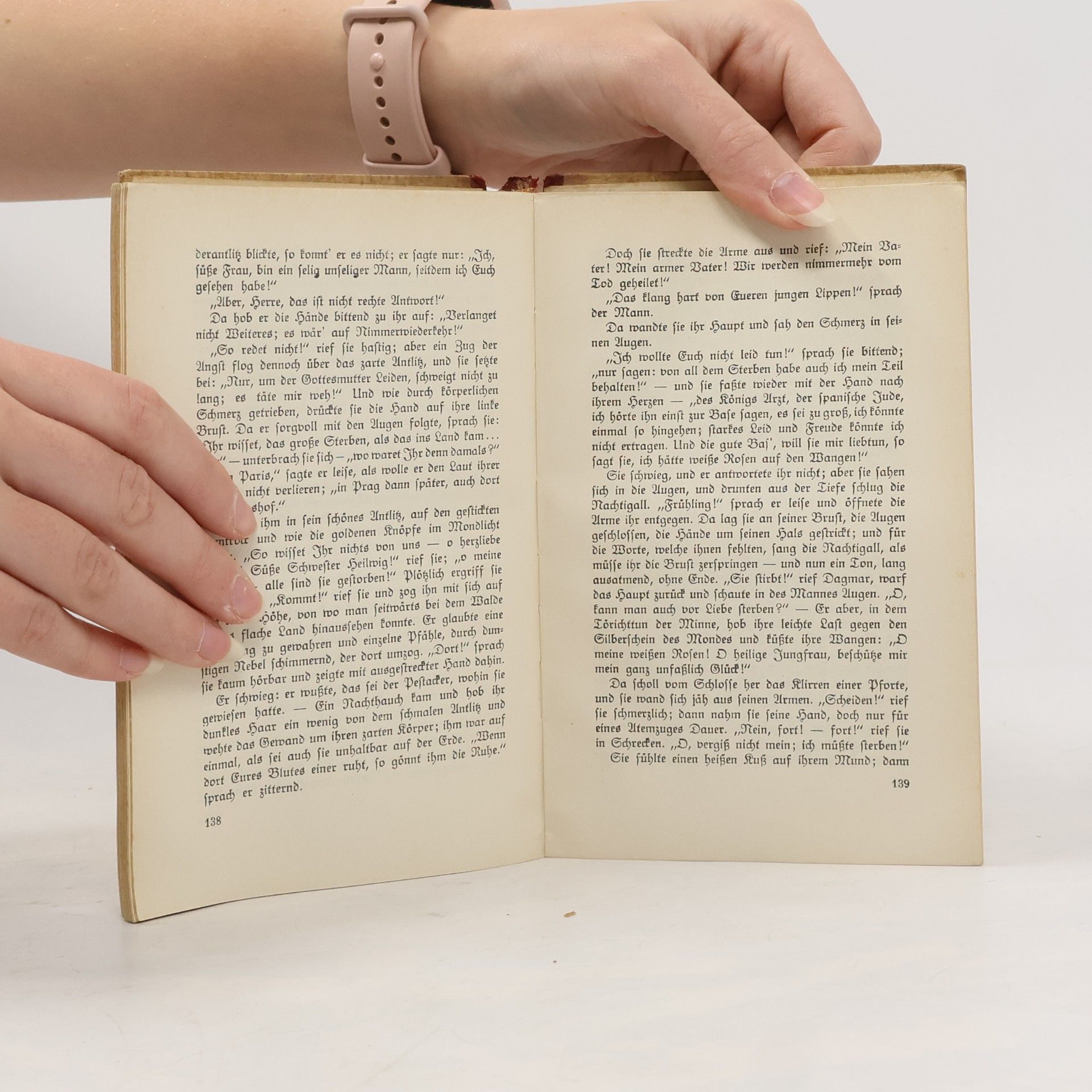 Hans Theodor Woldsen Storm Der Schimmelreiter und andere Novellen