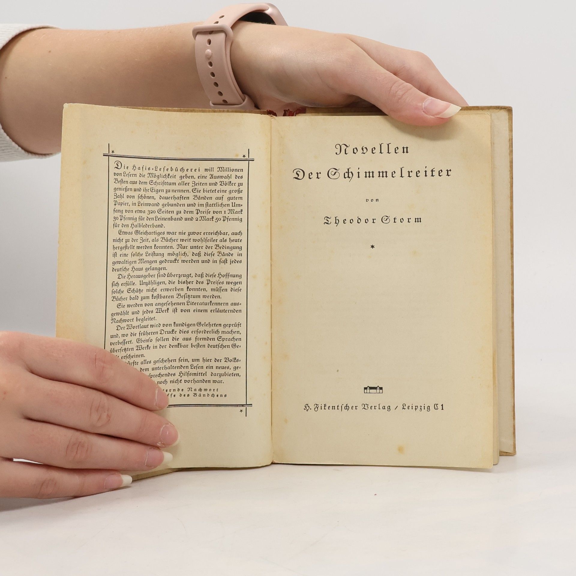 Hans Theodor Woldsen Storm Der Schimmelreiter und andere Novellen