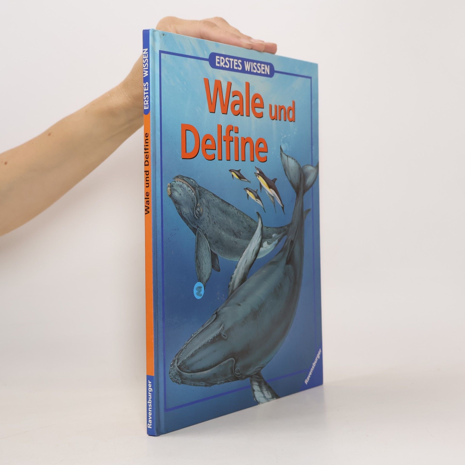 Patricia Mennen Wale und Delfine