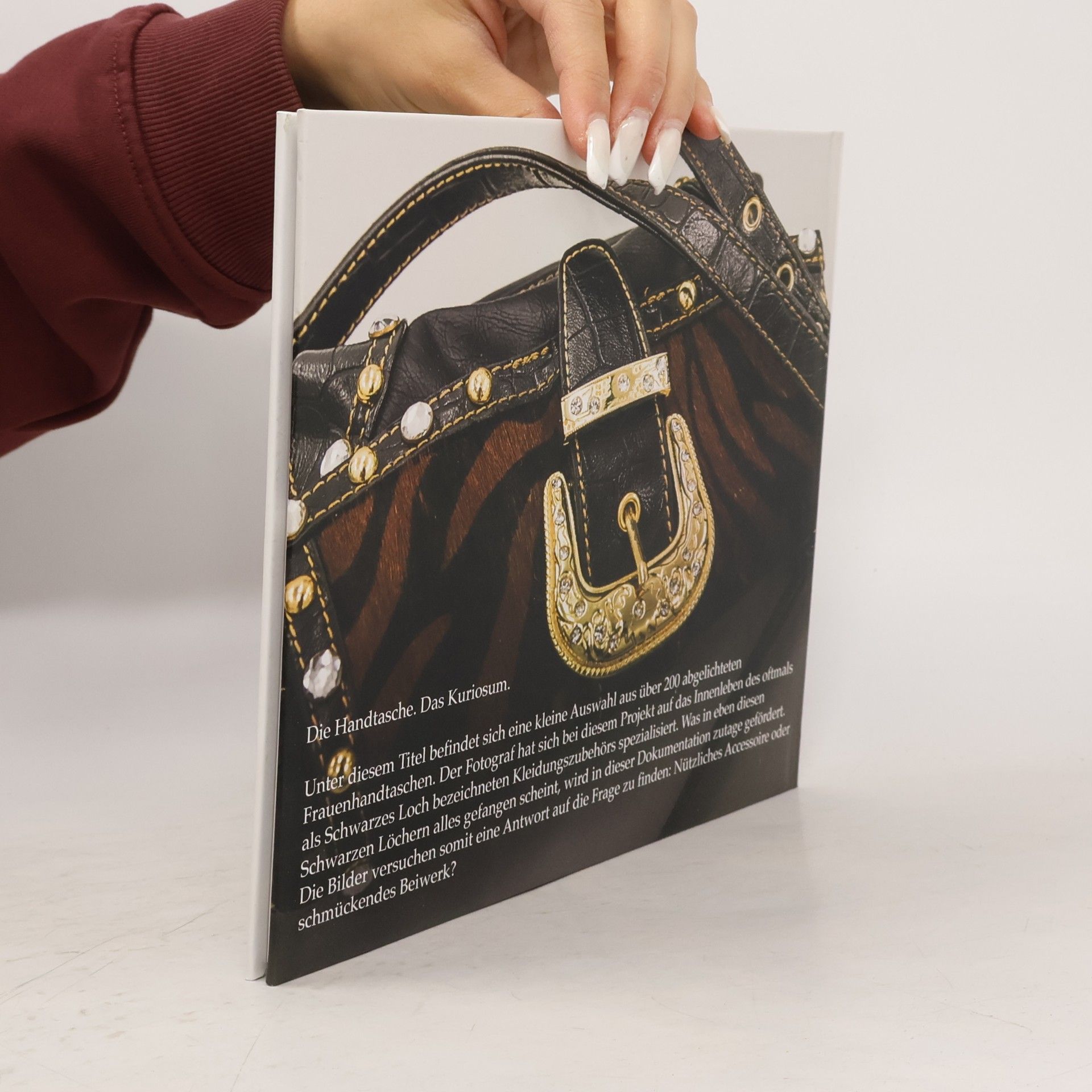 Frank Bauer Die Handtasche. Das Kuriosum.