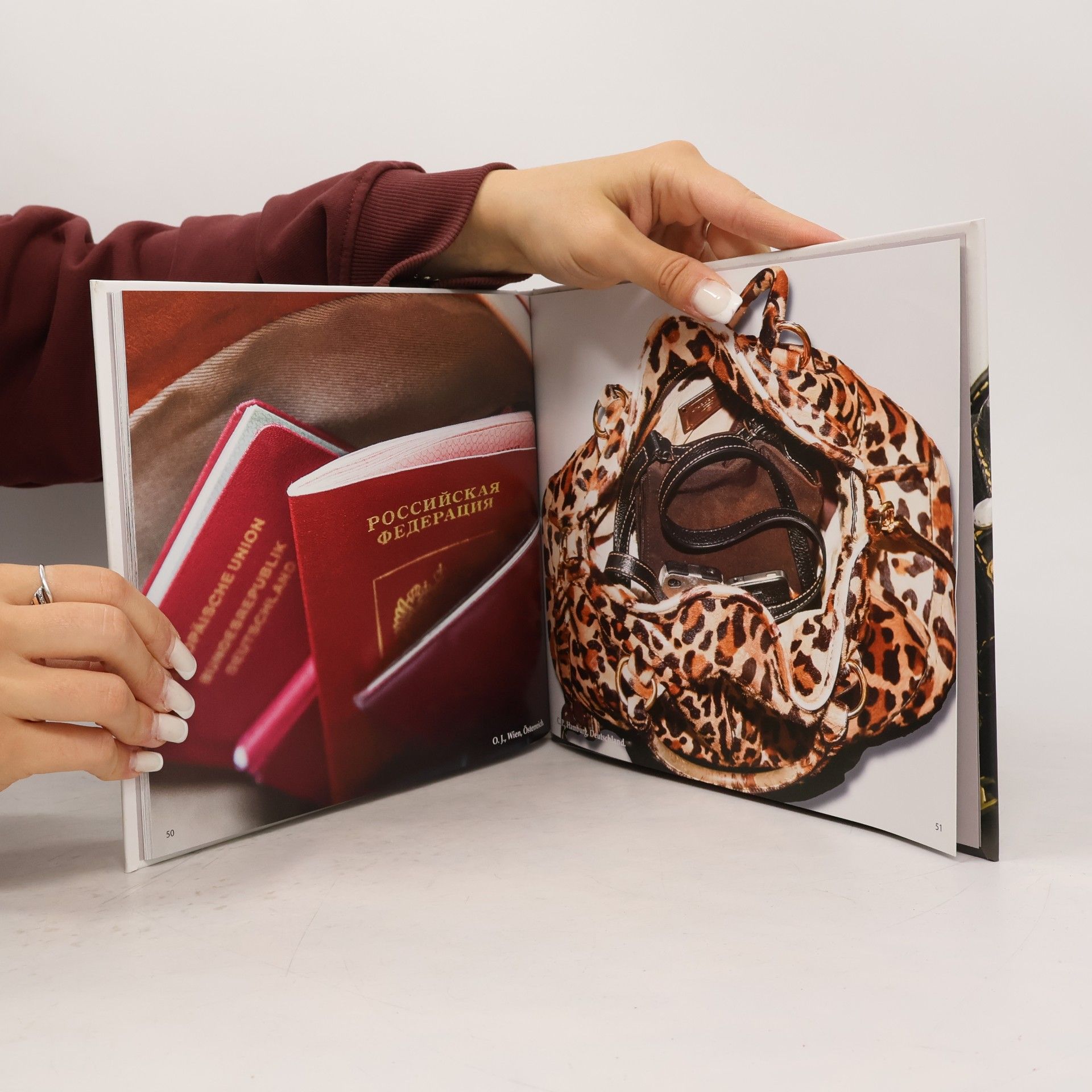 Frank Bauer Die Handtasche. Das Kuriosum.