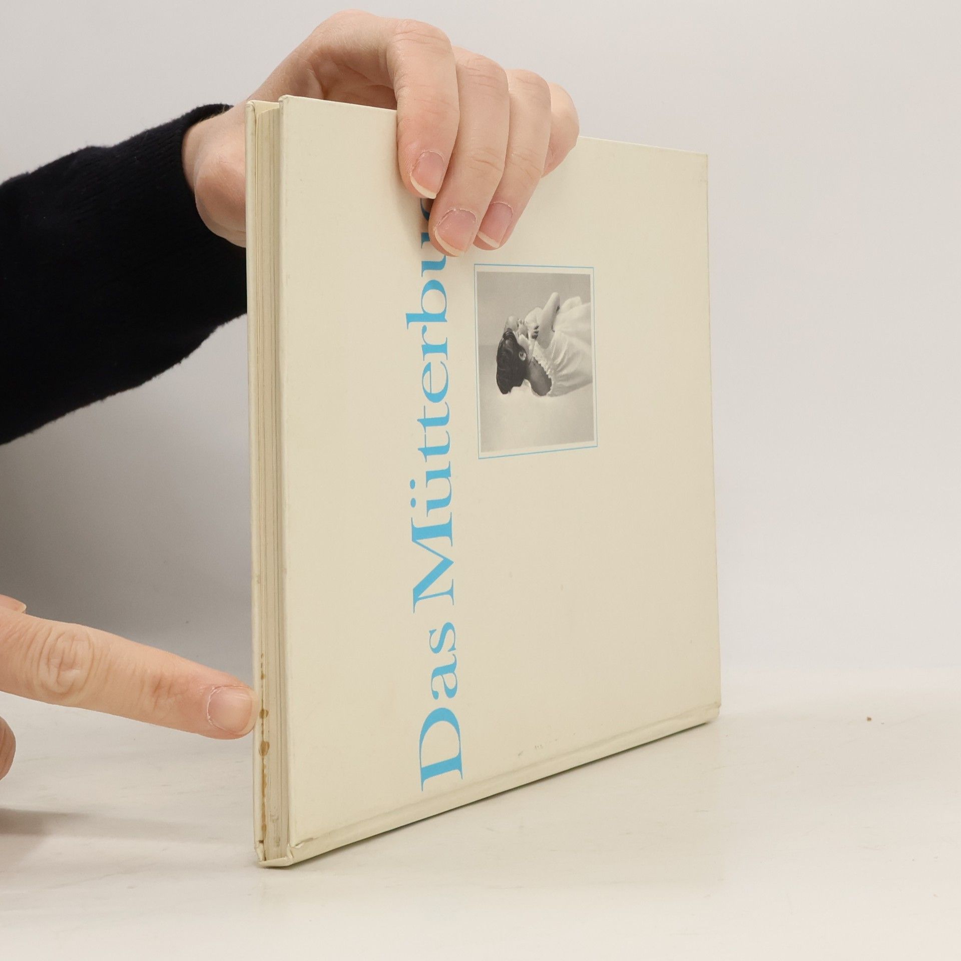 Kolektiv autorů Das Mütterbuch