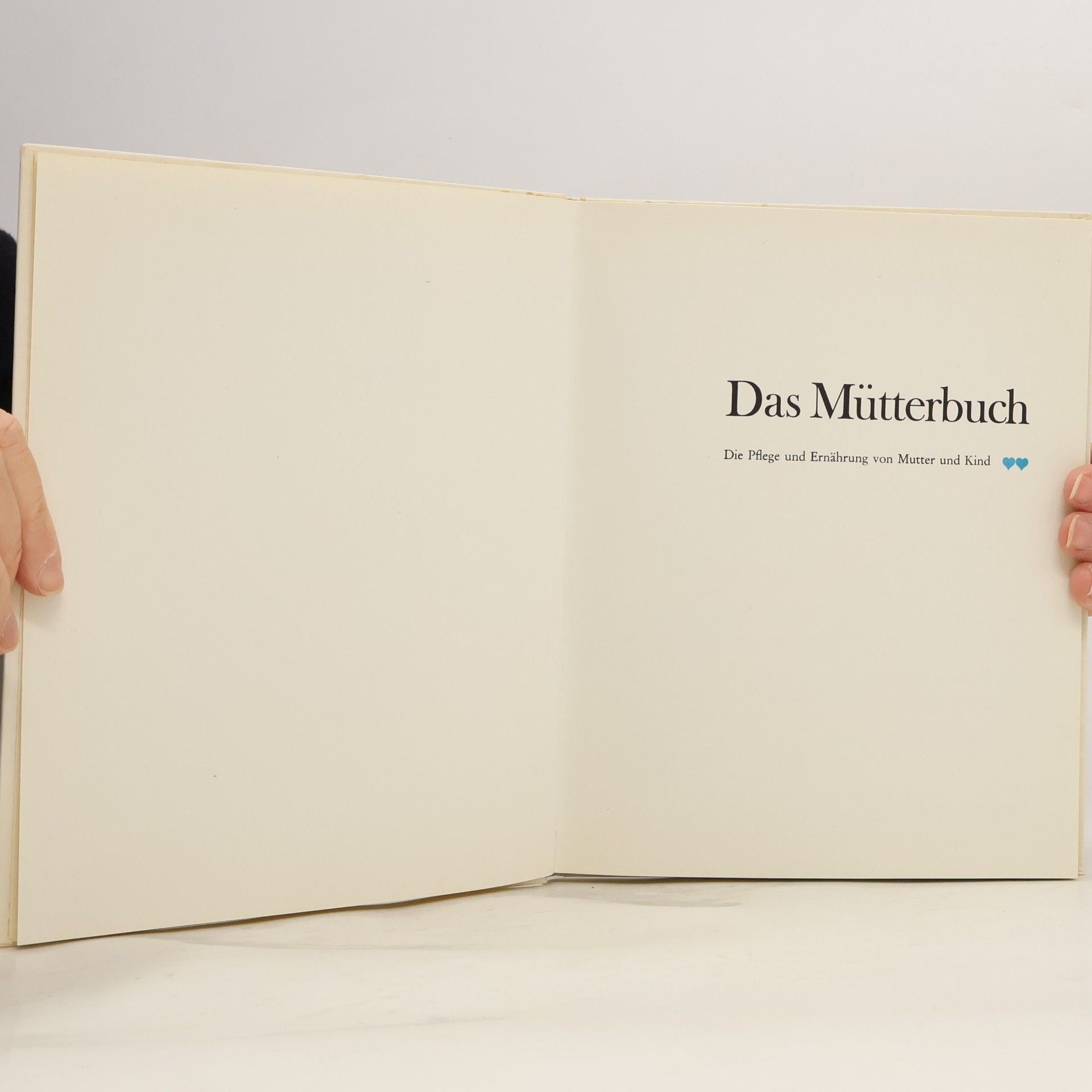 Kolektiv autorů Das Mütterbuch