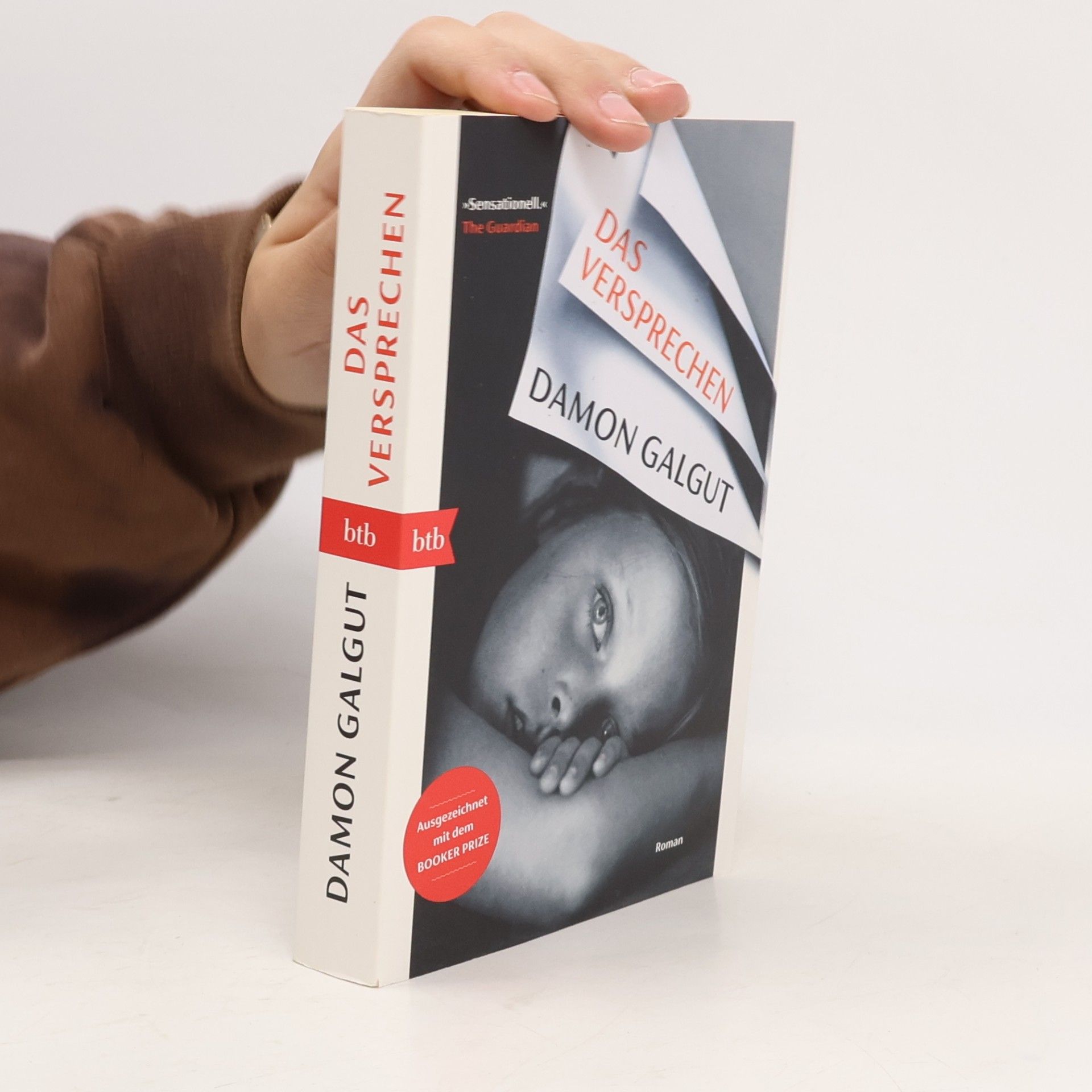 Damon Galgut Das Versprechen
