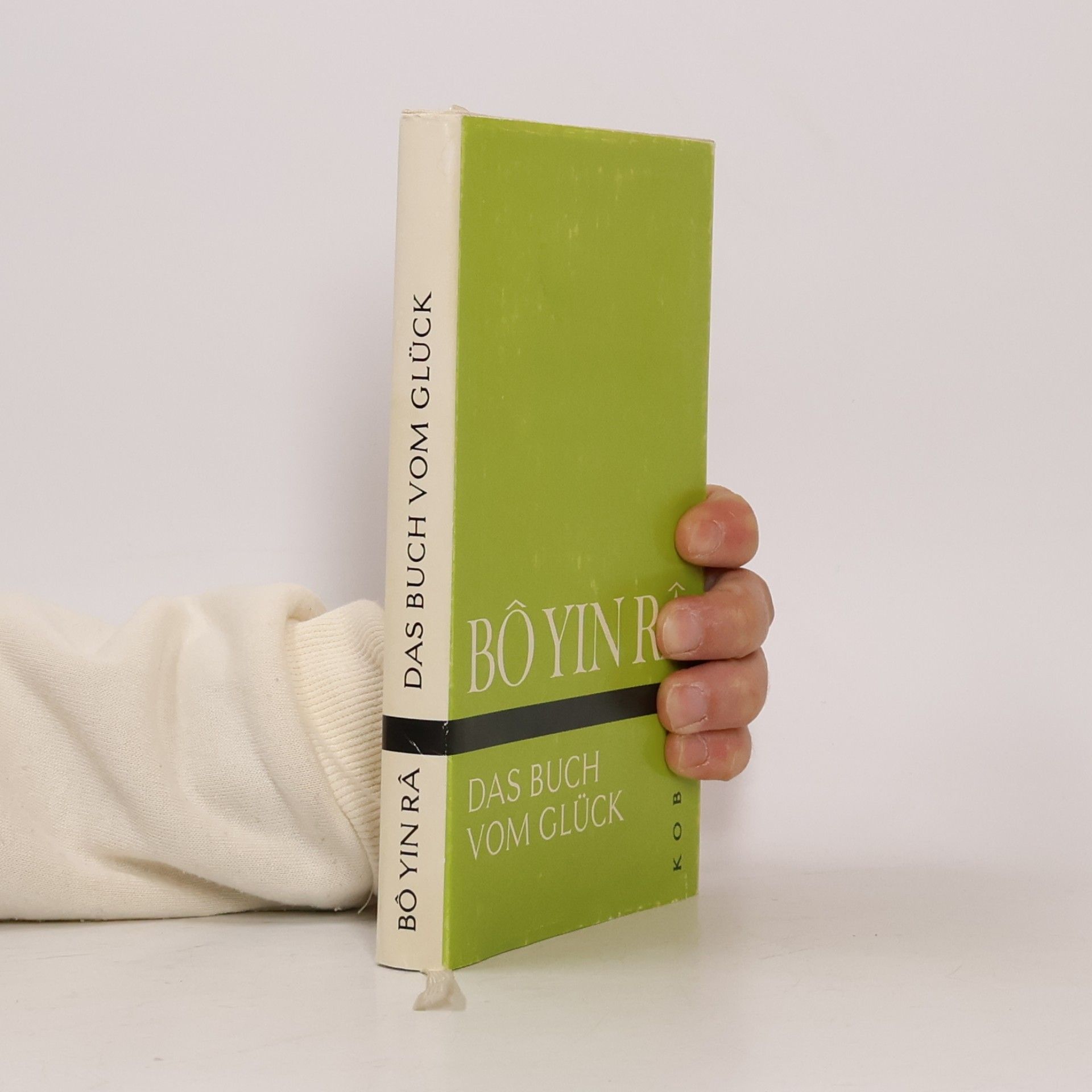 Das Buch vom Glück