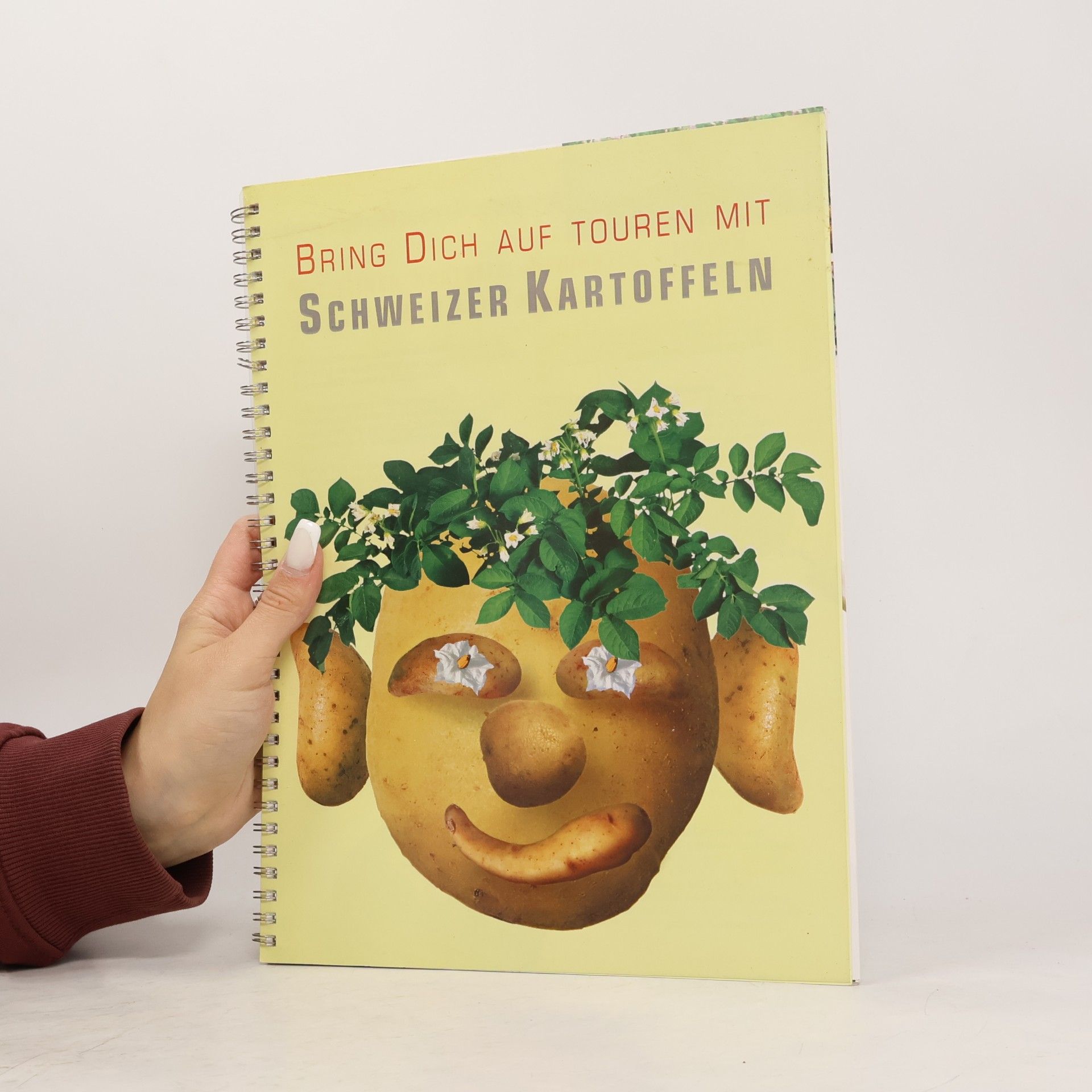 kolektiv Bring Dich auf touren mit Schweizer Kartoffeln