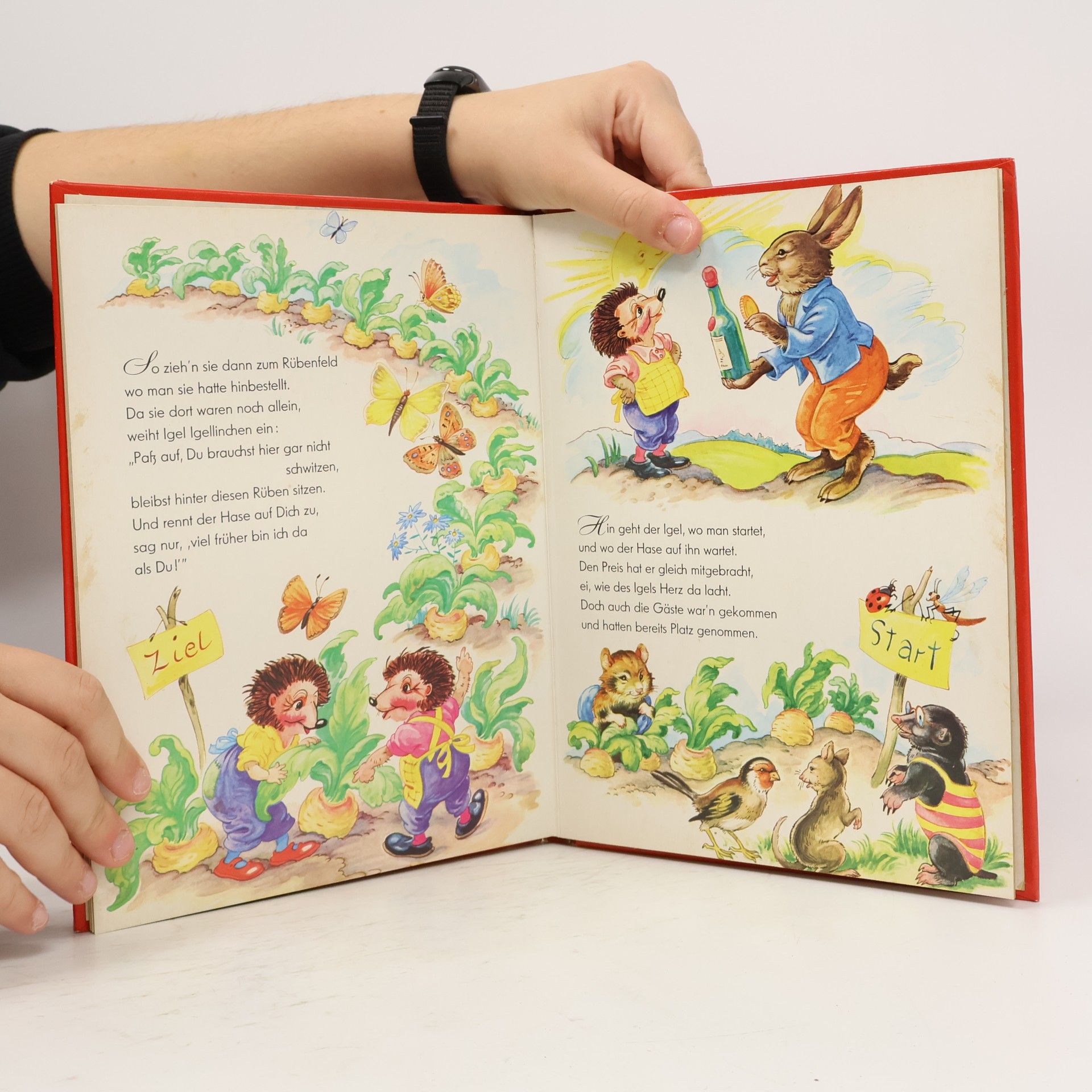 Autorenkollektiv Der Wettlauf zwischen Hase und Igel