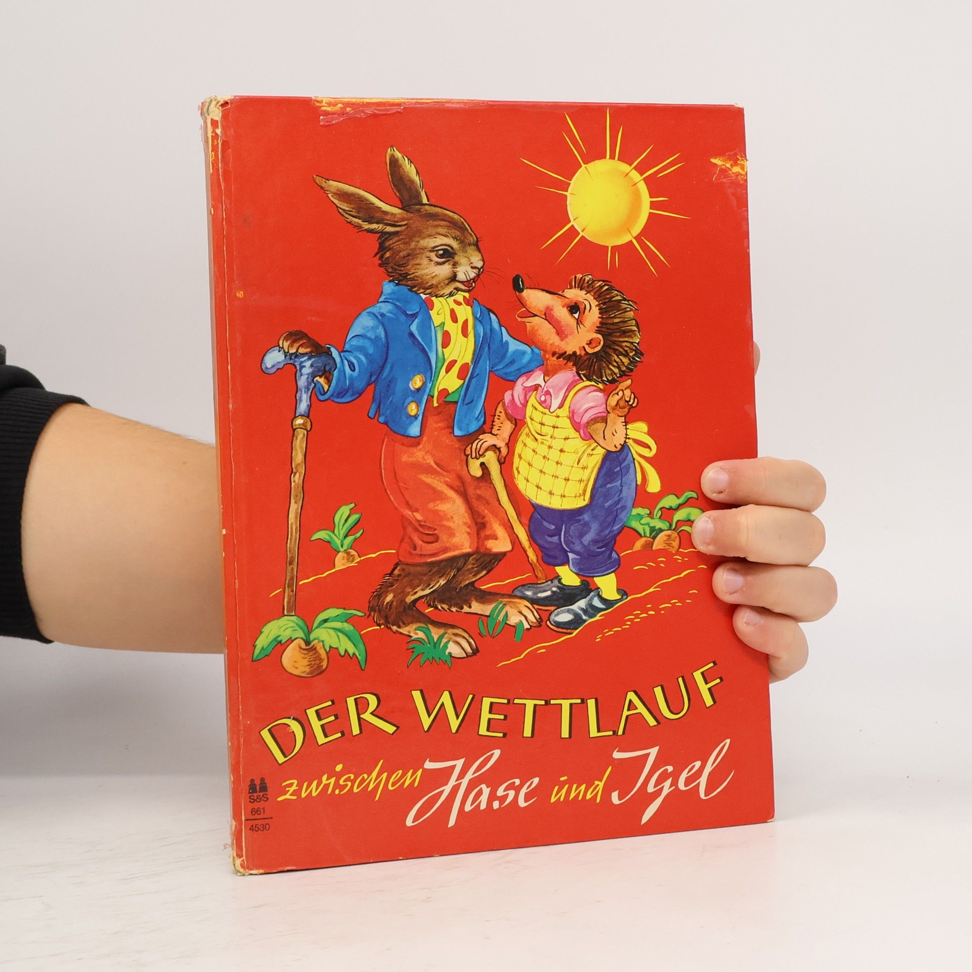Autorenkollektiv Der Wettlauf zwischen Hase und Igel