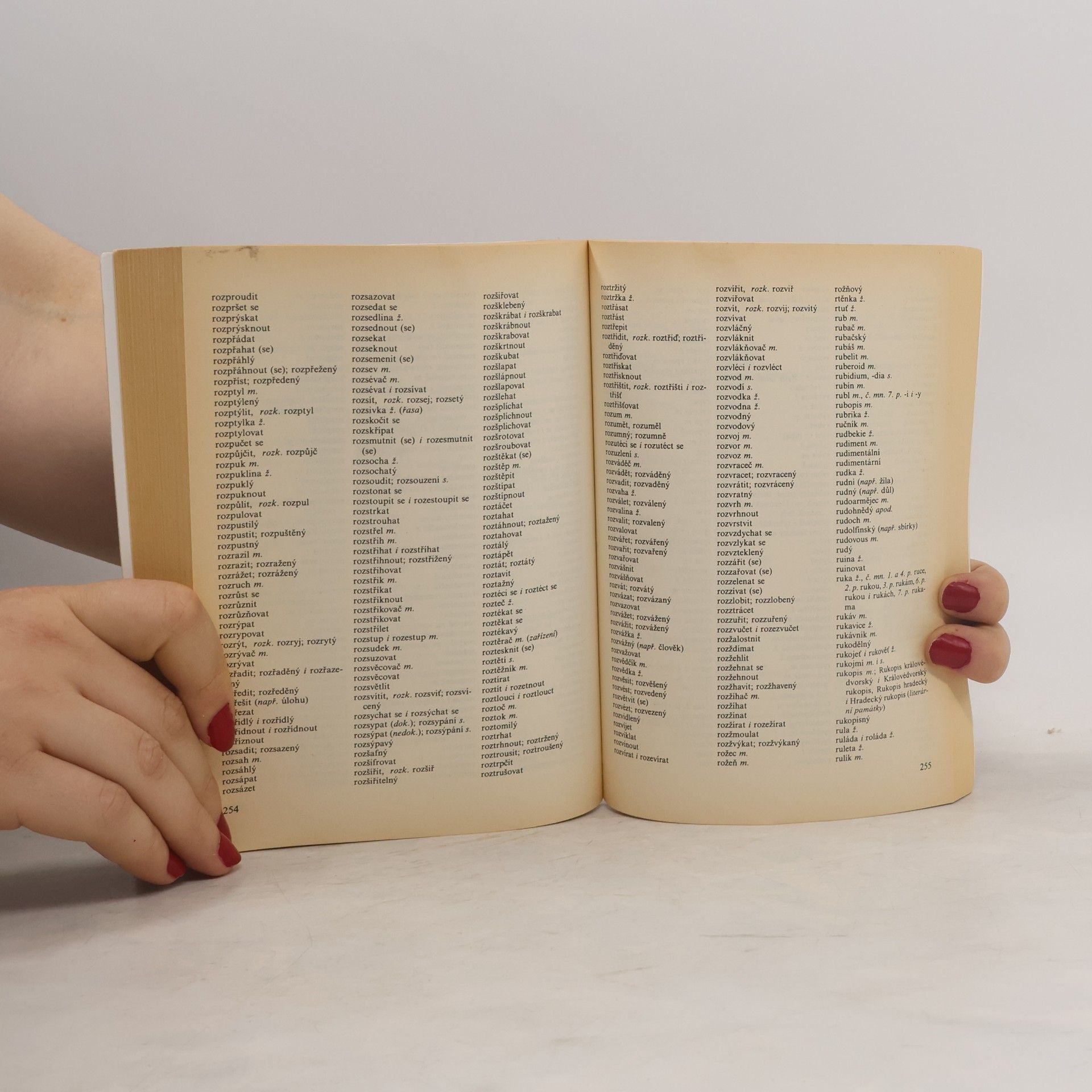 Autorenkollektiv Pravidla českého pravopisu
