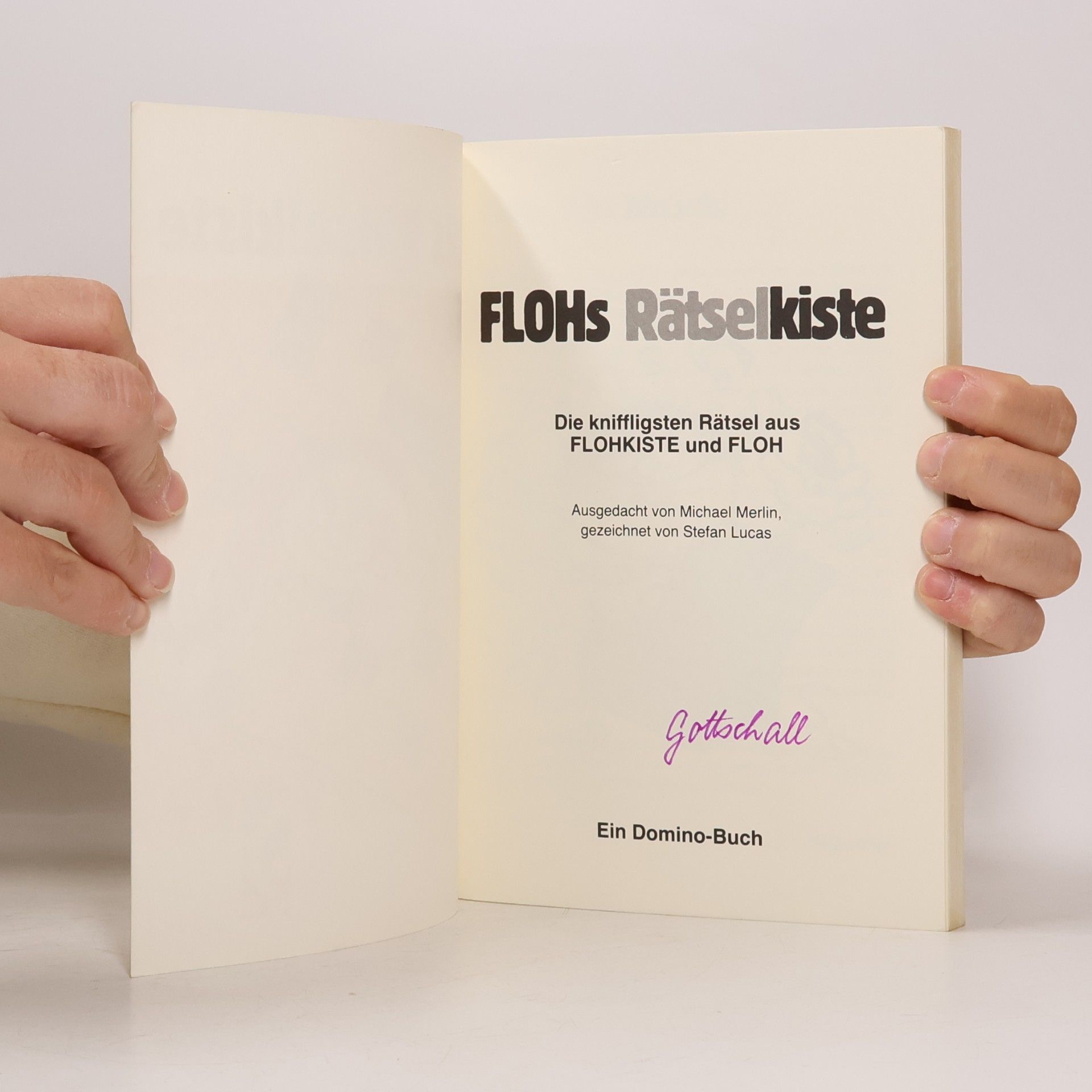 Doris Wildegger FLOHs Rätselkiste