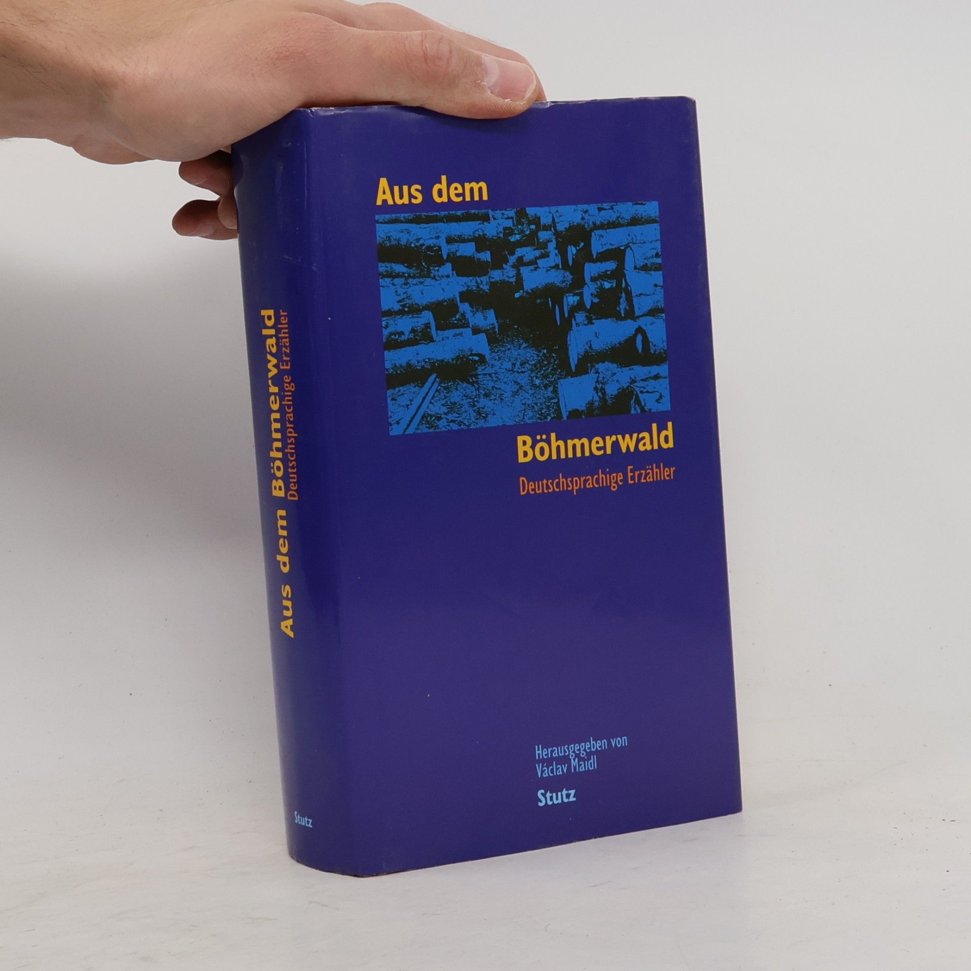 Václav Maidl Aus dem Böhmerwald : deutschsprachige Erzähler
