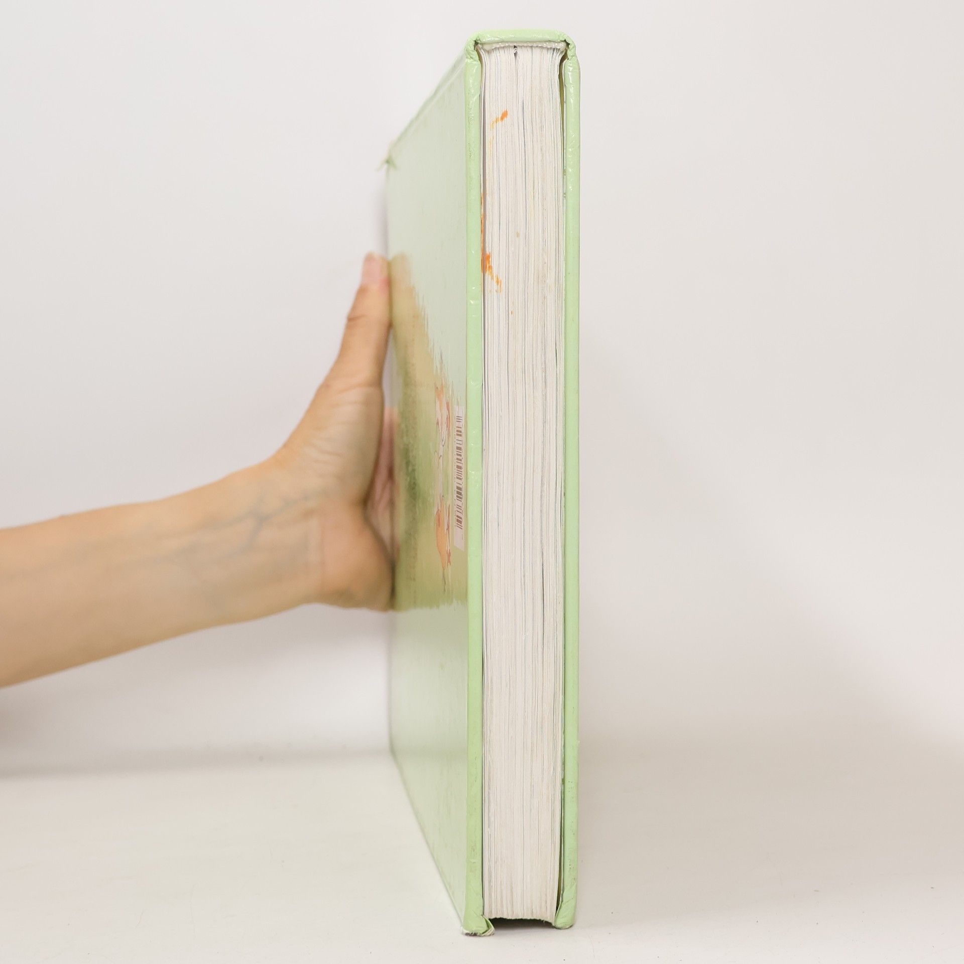 Iskender Gider Das grosse bunte Volks-&-Kinder-Liederbuch