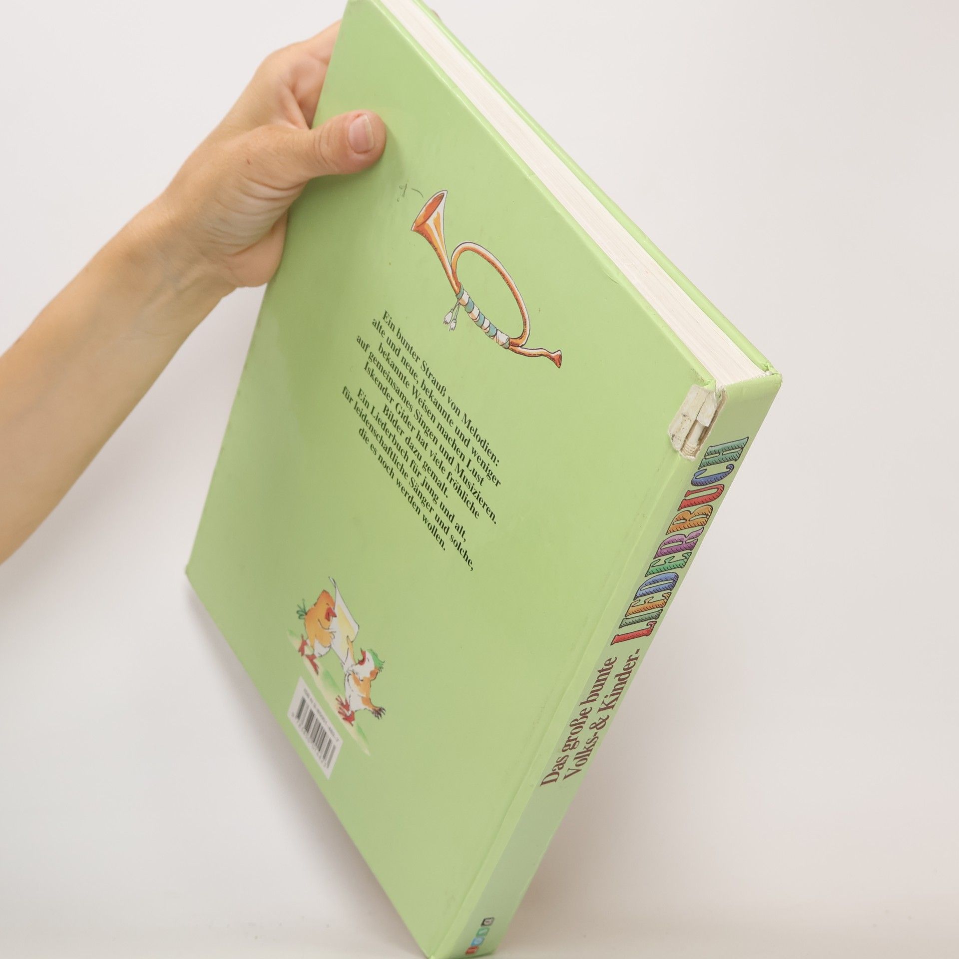 Iskender Gider Das grosse bunte Volks-&-Kinder-Liederbuch