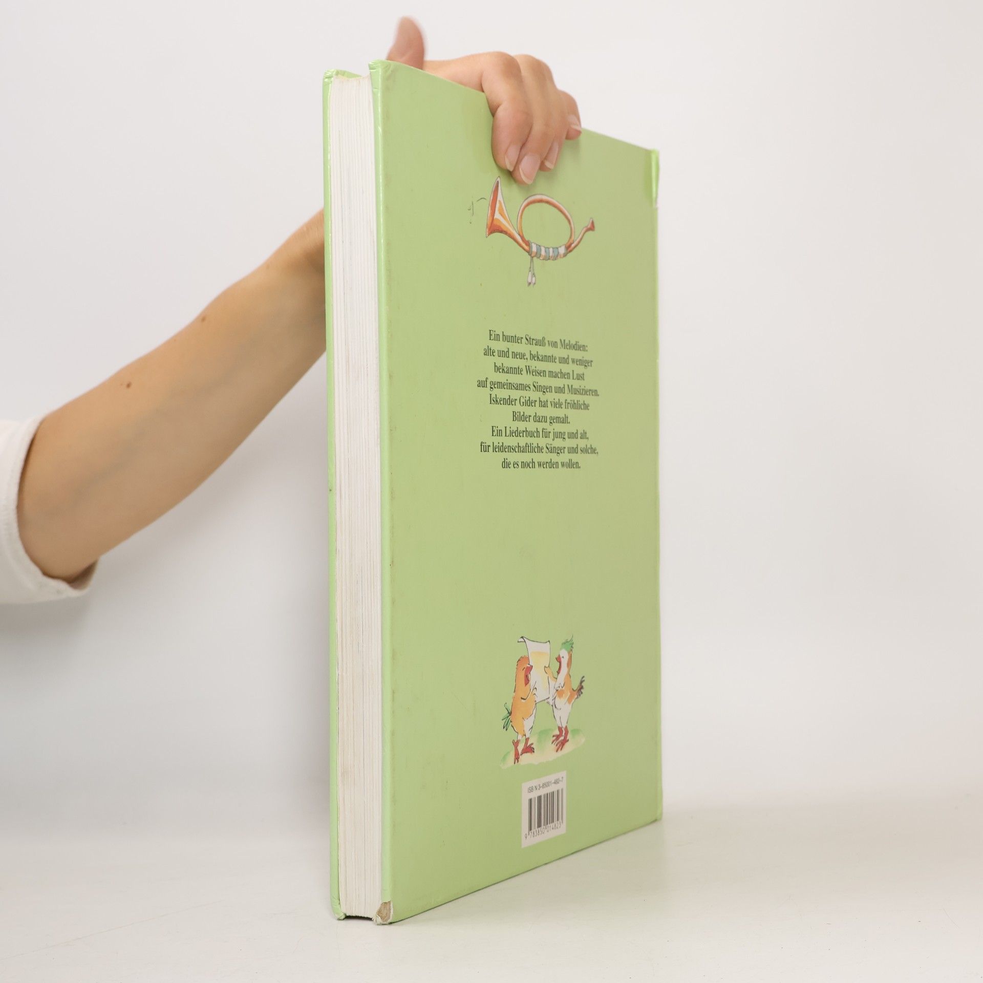 Iskender Gider Das grosse bunte Volks-&-Kinder-Liederbuch
