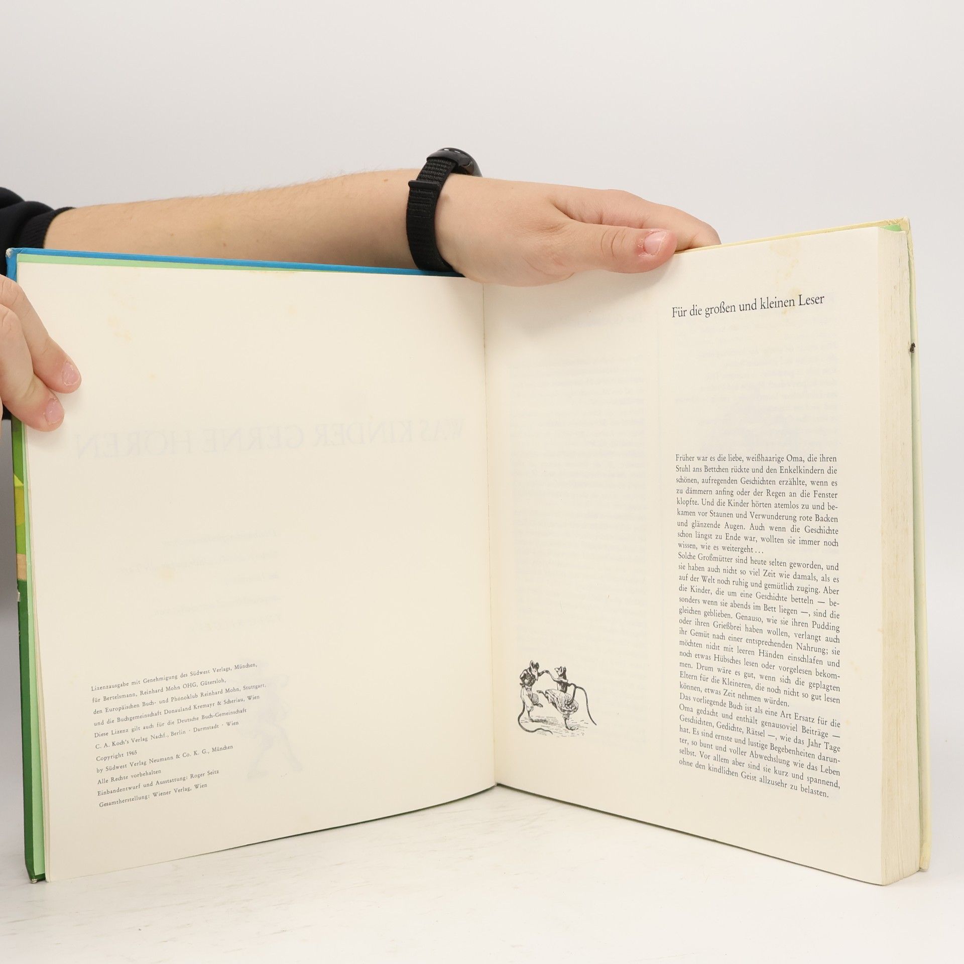 Various authors Was Kinder Gerne Hören
