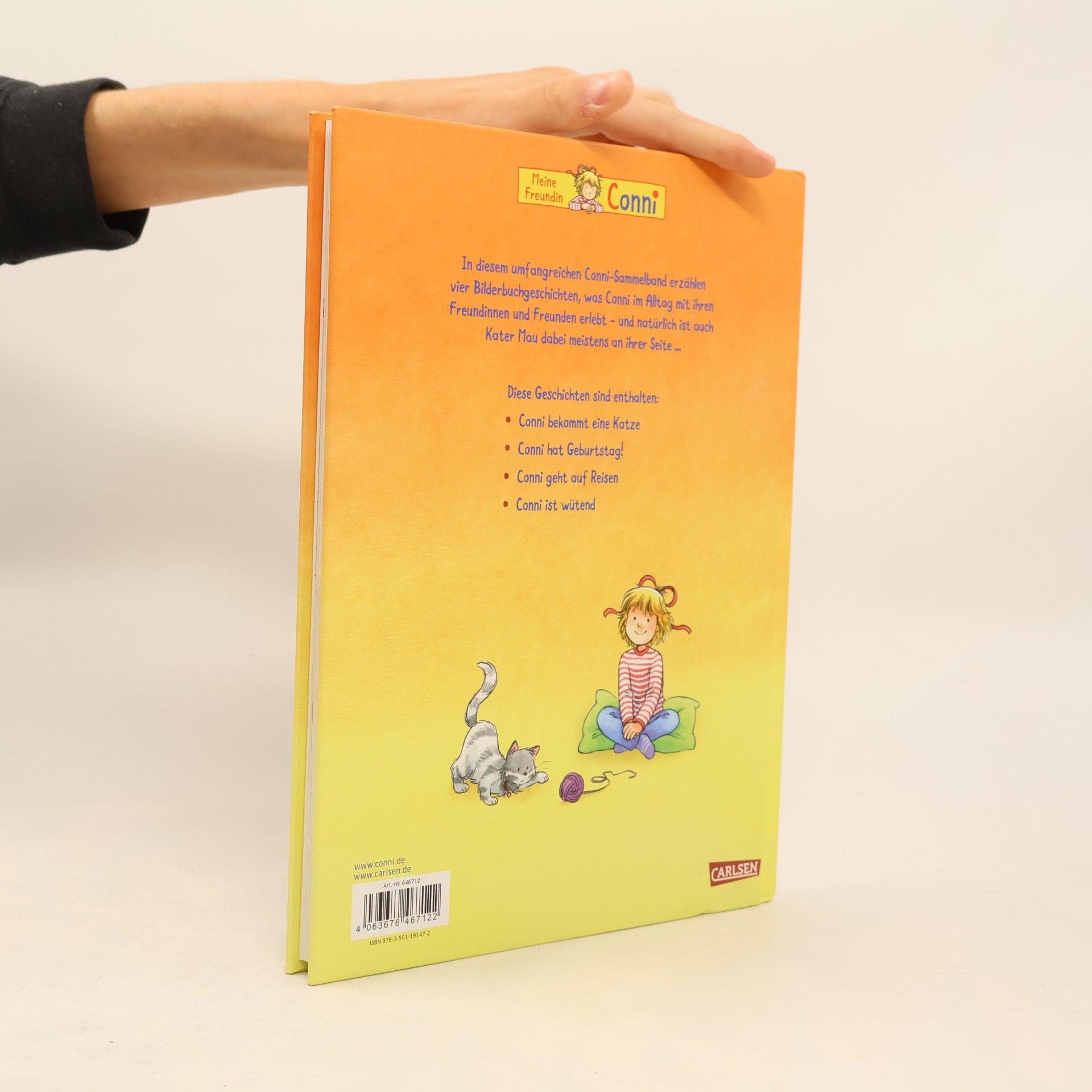 Liane Schneider Mein großes Conni-Vorlesebuch