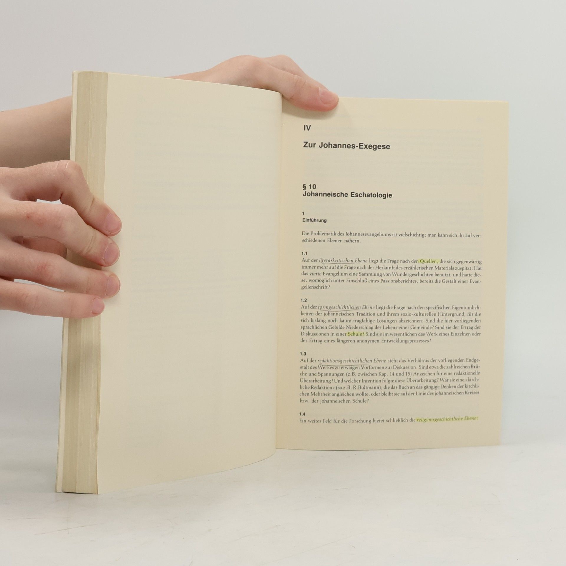 Jürgen Roloff Neues Testament