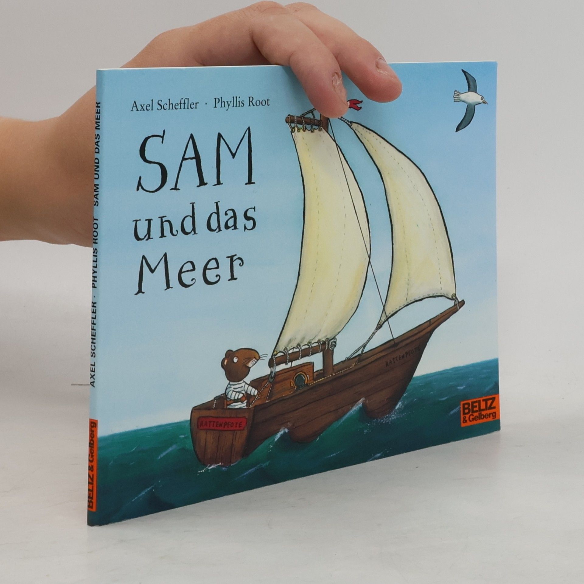 Phyllis Root Sam und das Meer