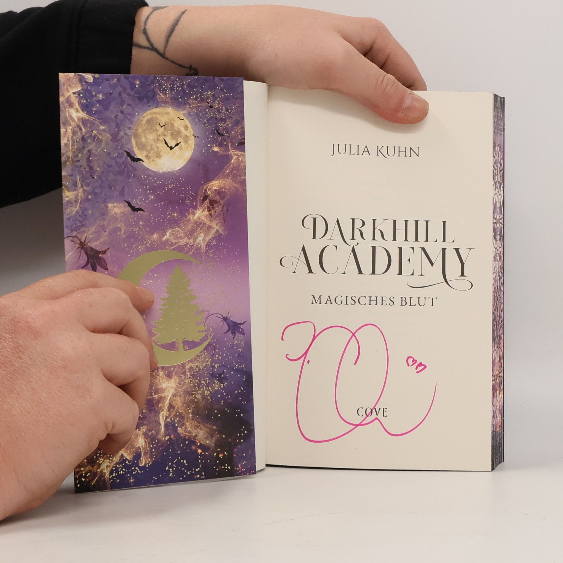 Julia Kuhn Darkhill Academy 1: Magisches Blut