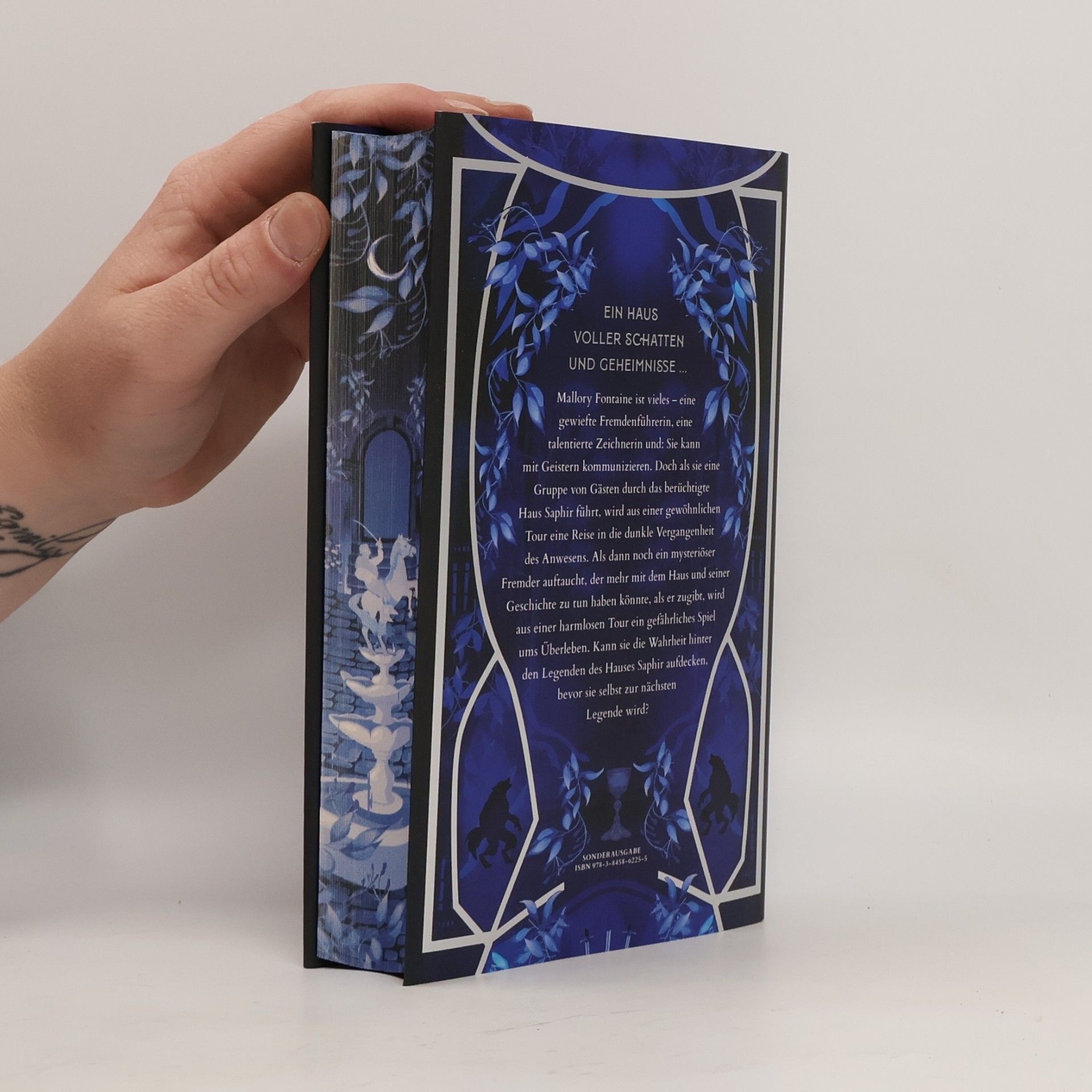 Marissa Meyer The House Saphir