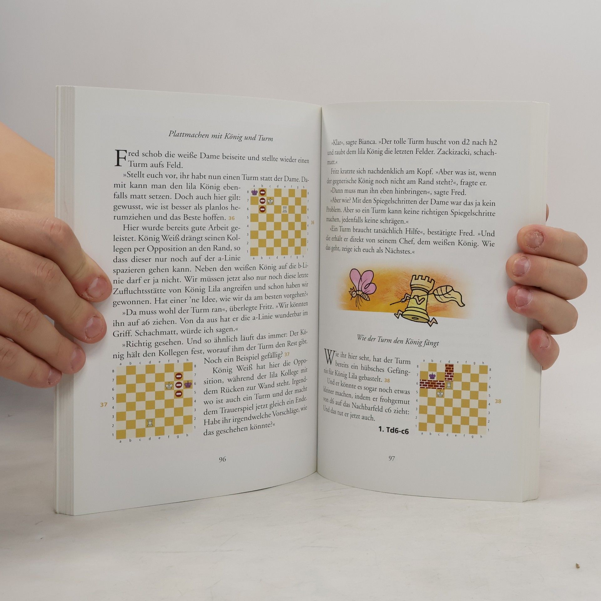 Jörg Hilbert Wie geht Schach?
