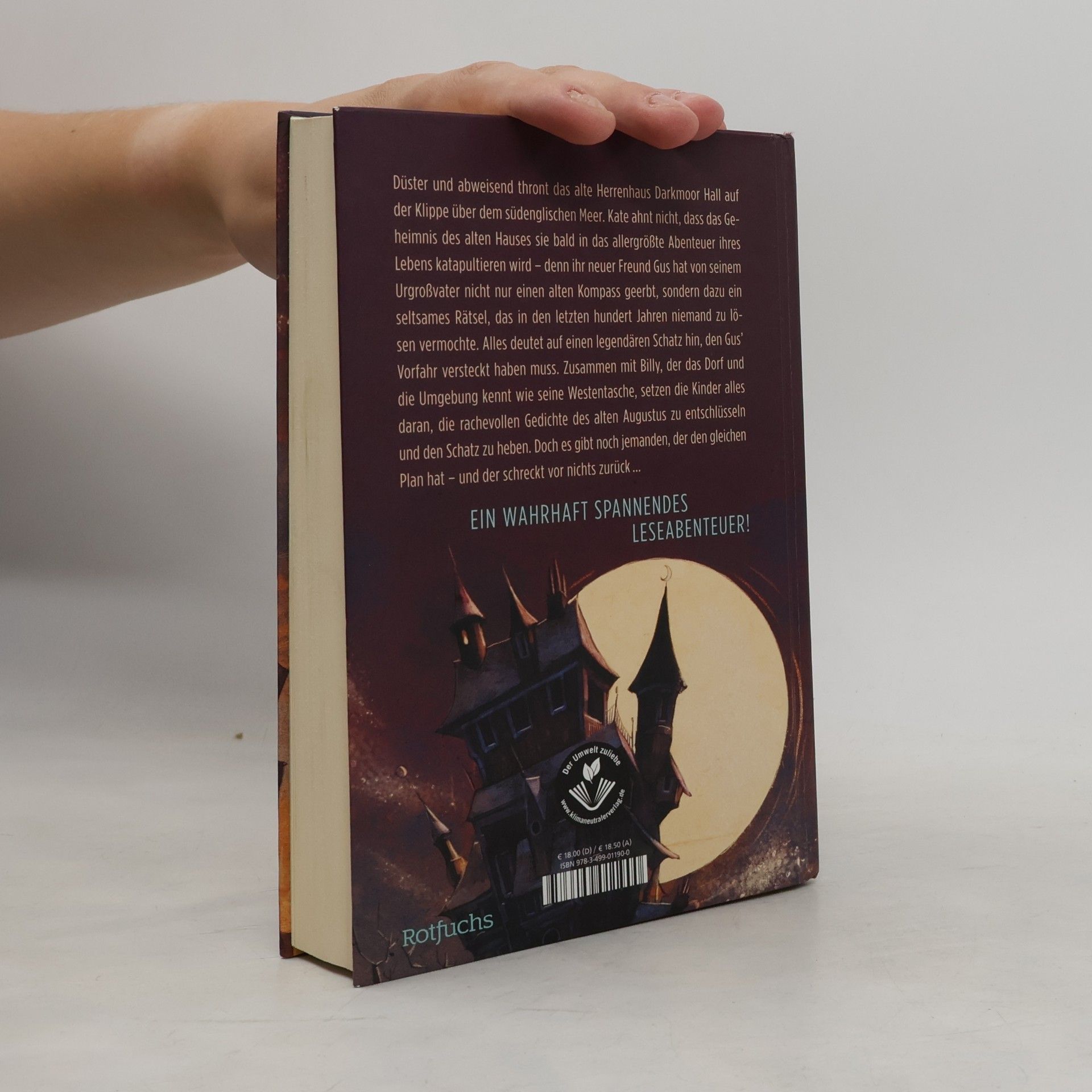 Nina Scheweling Das Geheimnis von Darkmoor Hall