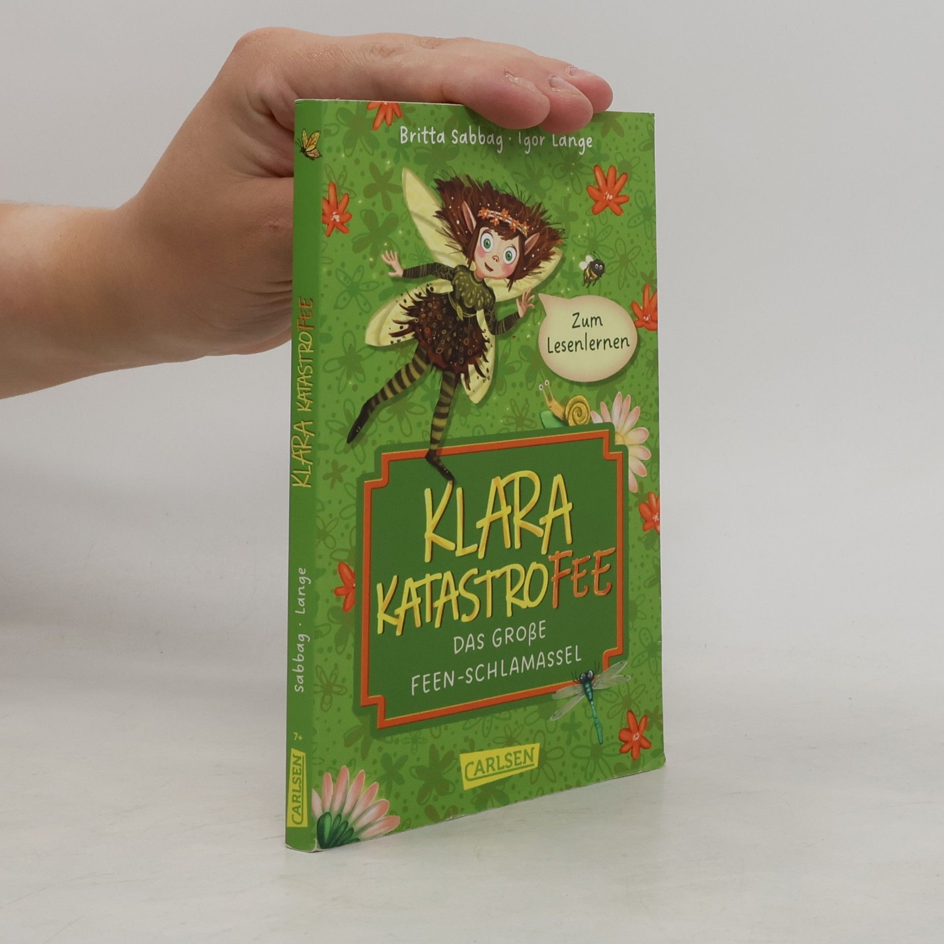 Britta Sabbag Klara Katastrofee und das große Feen-Schlamassel