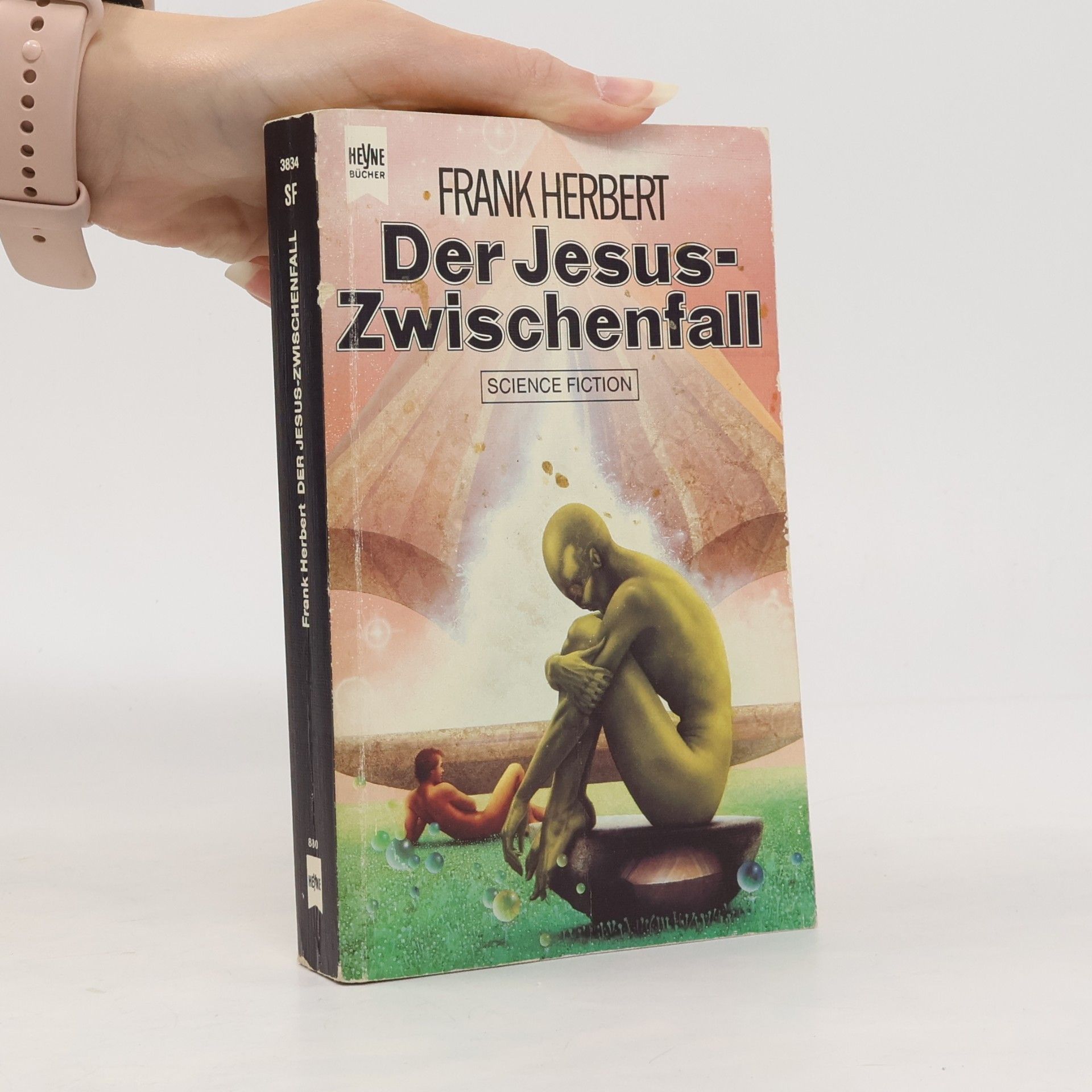 Bill Ransom Der Jesus-Zwischenfall.