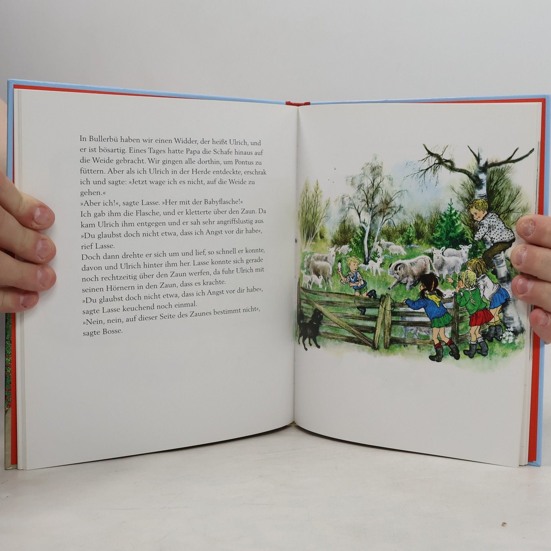 Astrid Lindgren Geschichten aus Bullerbu