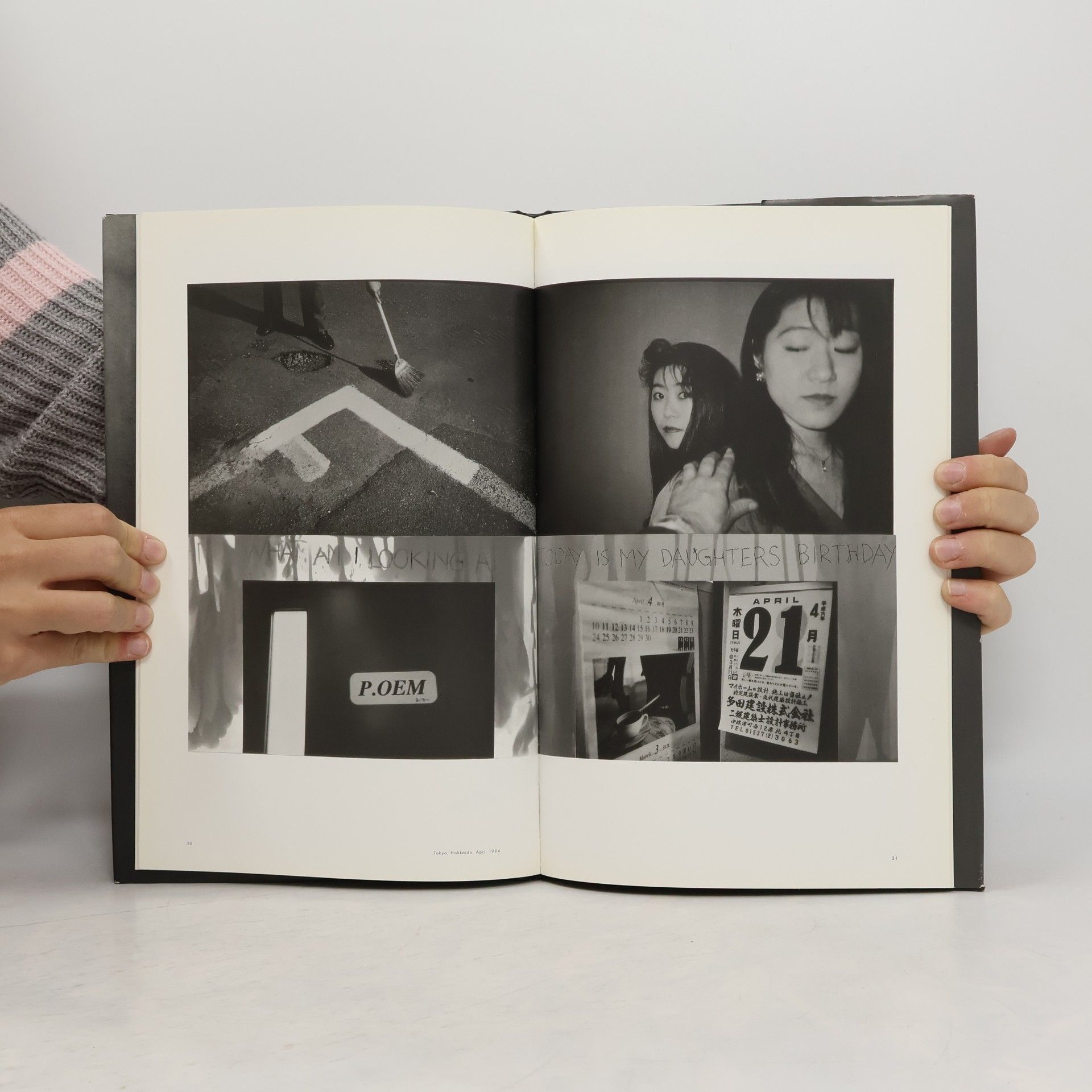 Robert Frank The Hasselblad Award 1996: Flamingo