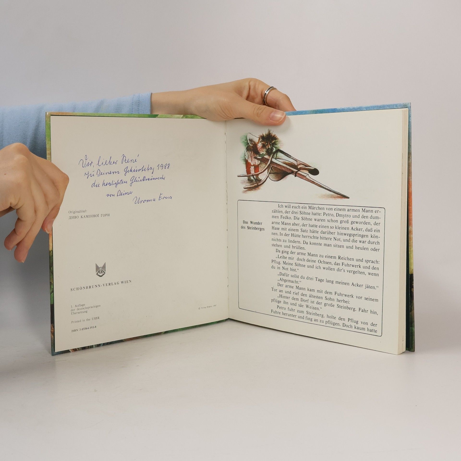 Collectif d'auteurs Das Wunder des Steinberges
