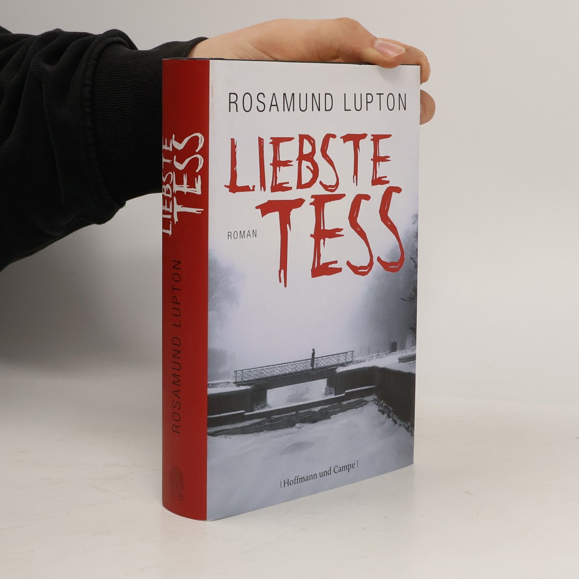 Rosamund Lupton Liebste Tess