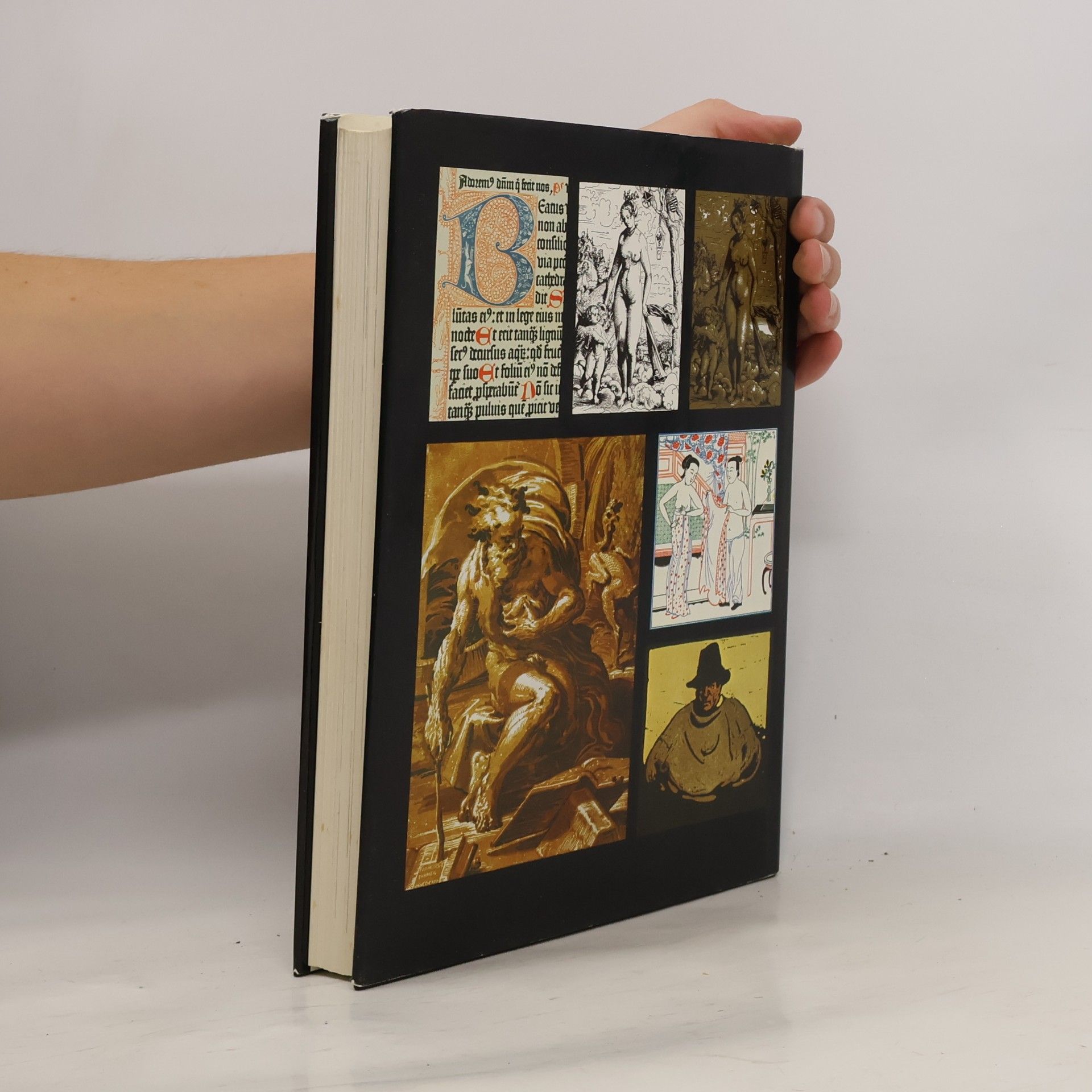 Fons van der Linden DuMont's Handbuch der grafischen Techniken