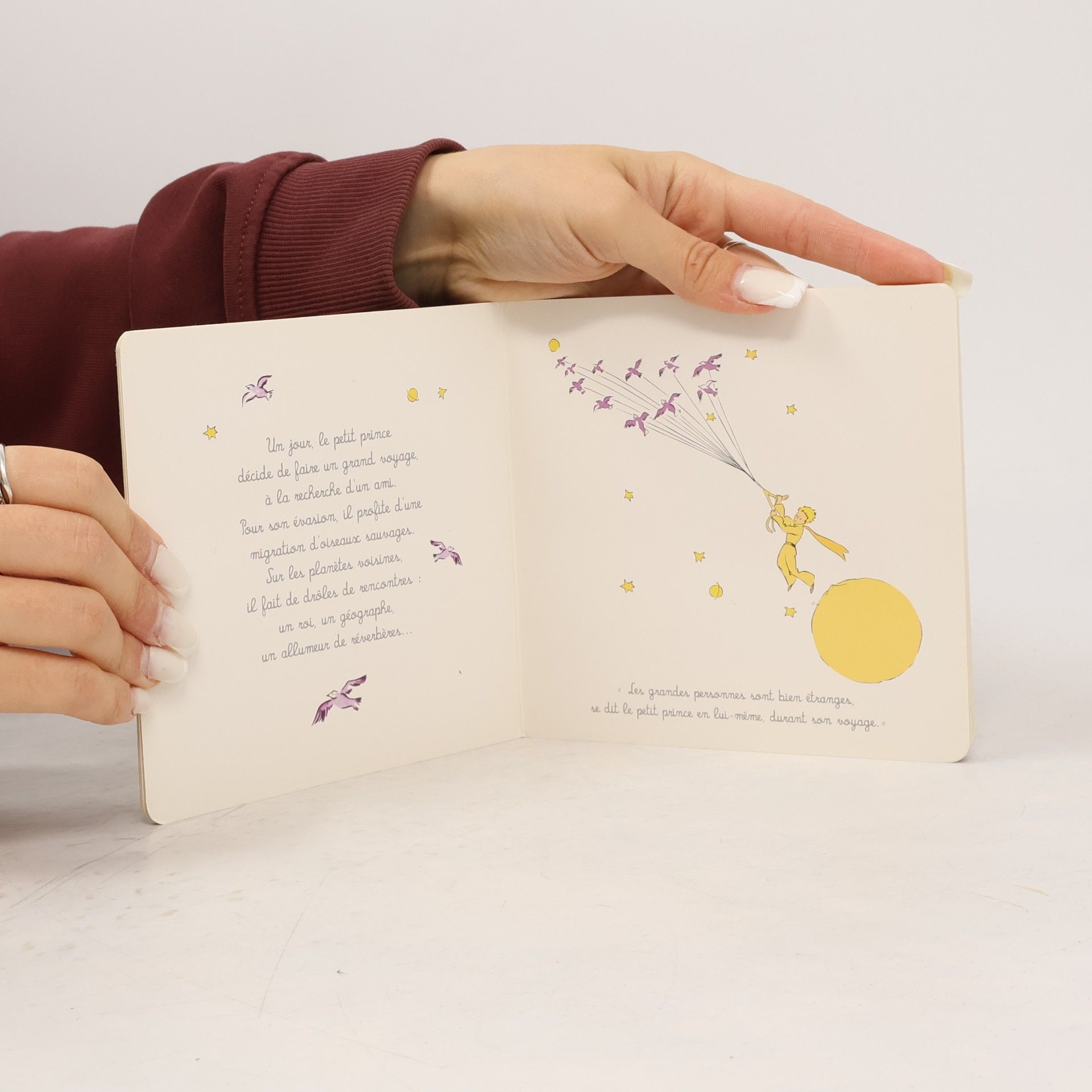 kolektiv Le Petit Prince