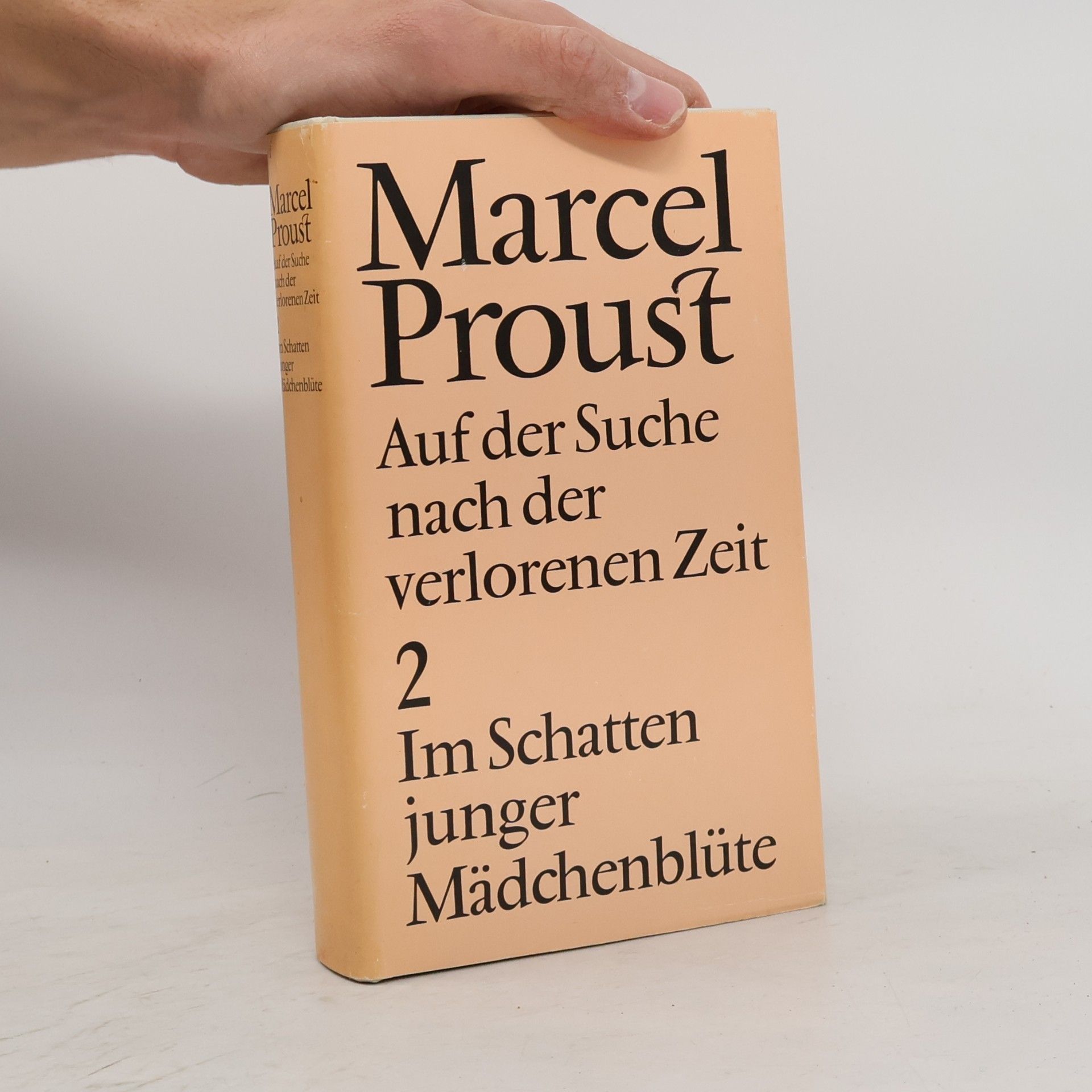 Marcel Proust Auf der Suche nach der verlorenen Zeit 2