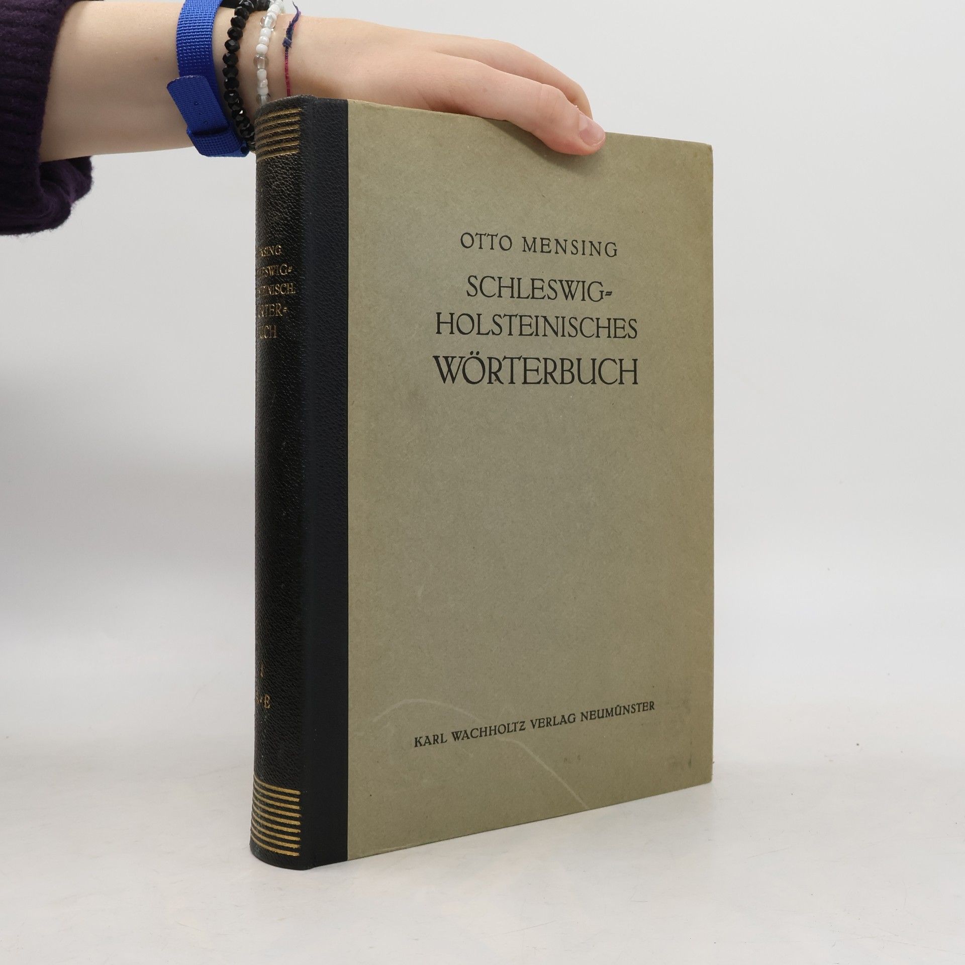 Schleswig-holsteinisches Wörterbuch