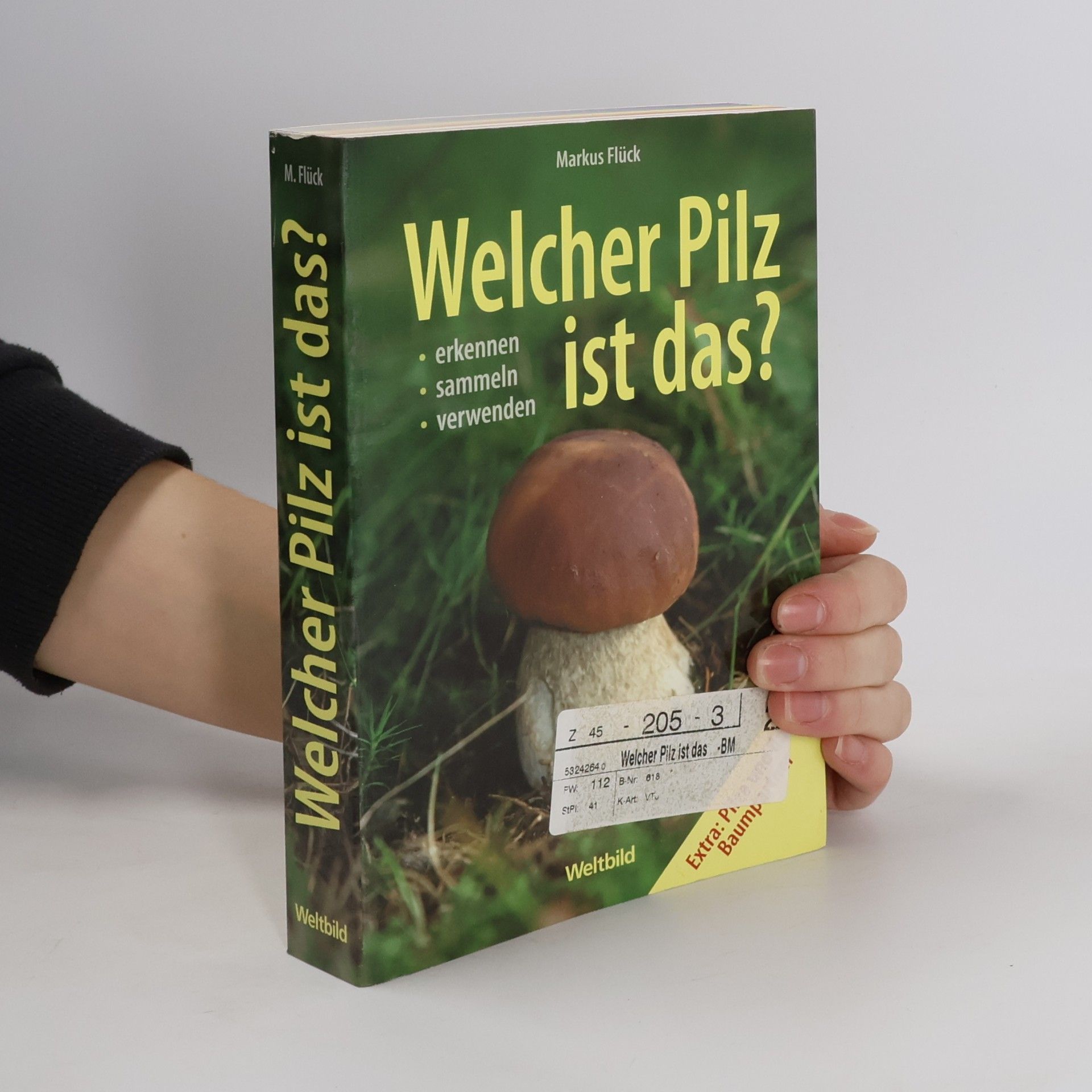 Markus Flück Welcher Pilz ist das?