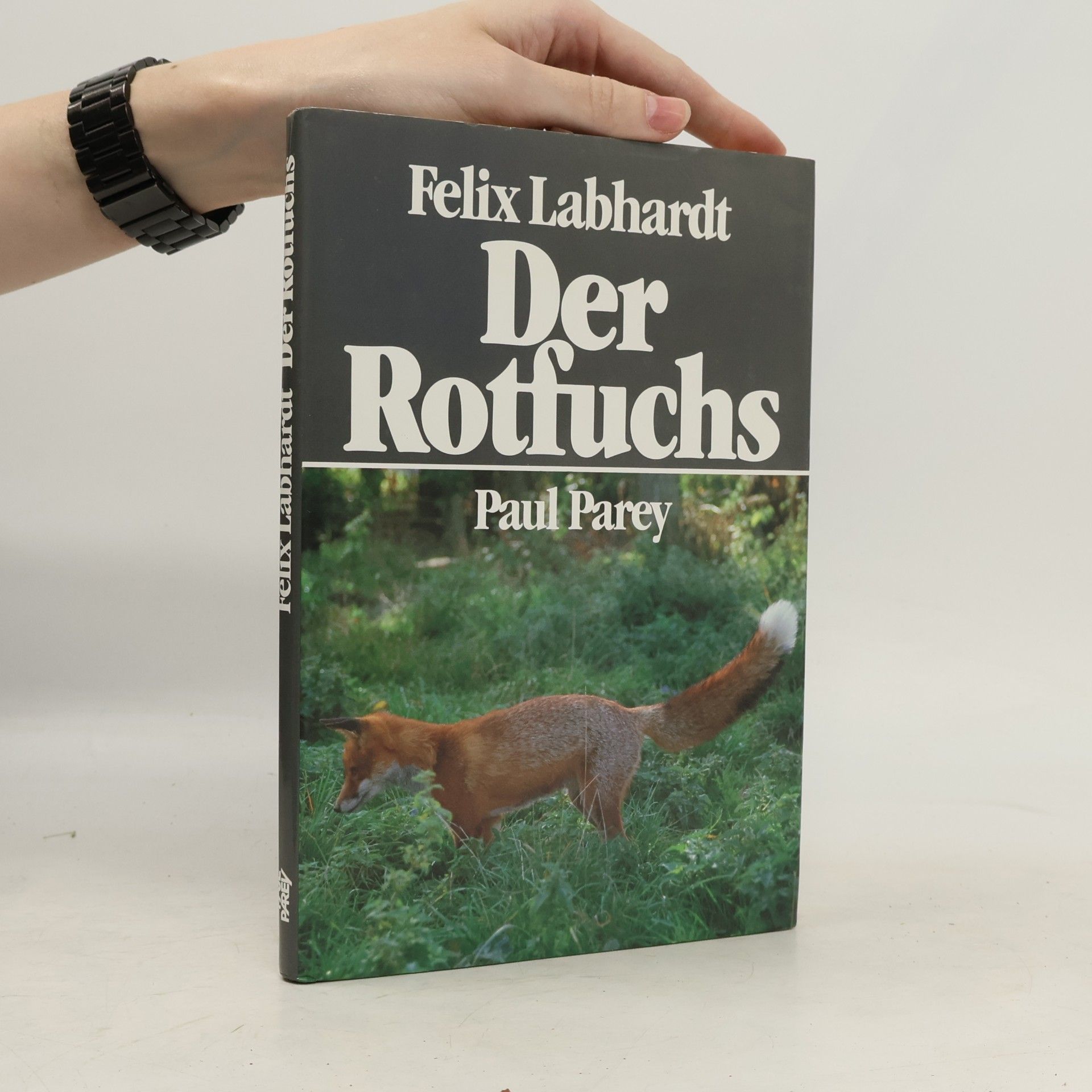 Felix Labhardt Der Rotfuchs