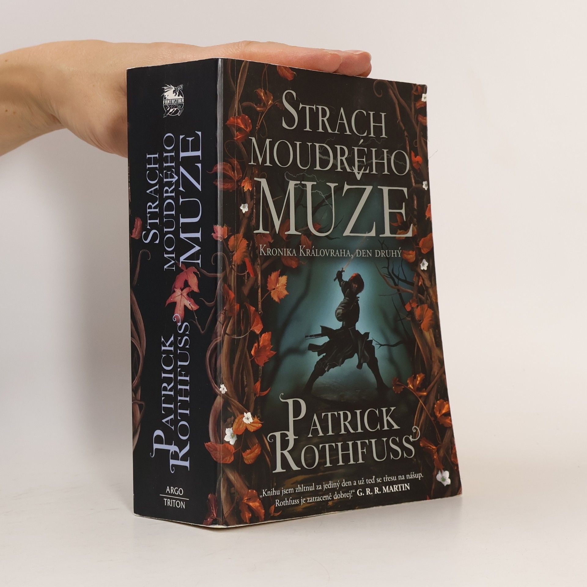 Patrick Rothfuss Strach moudrého muže