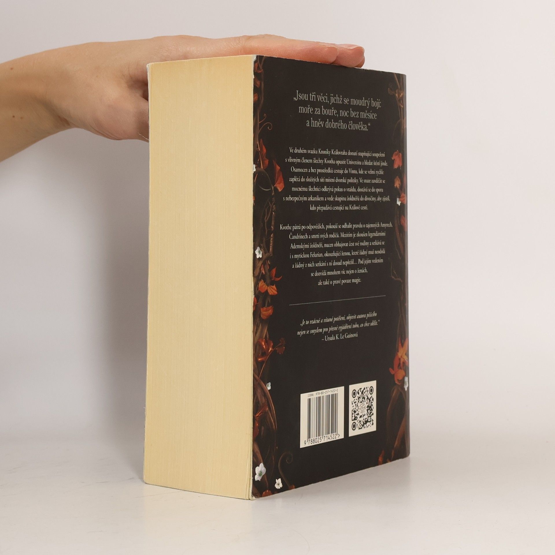Patrick Rothfuss Strach moudrého muže