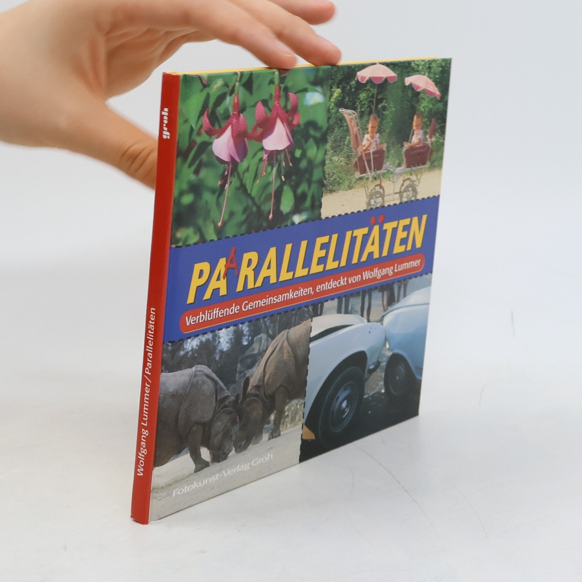 Wolfgang Lummer Paarallelitäten