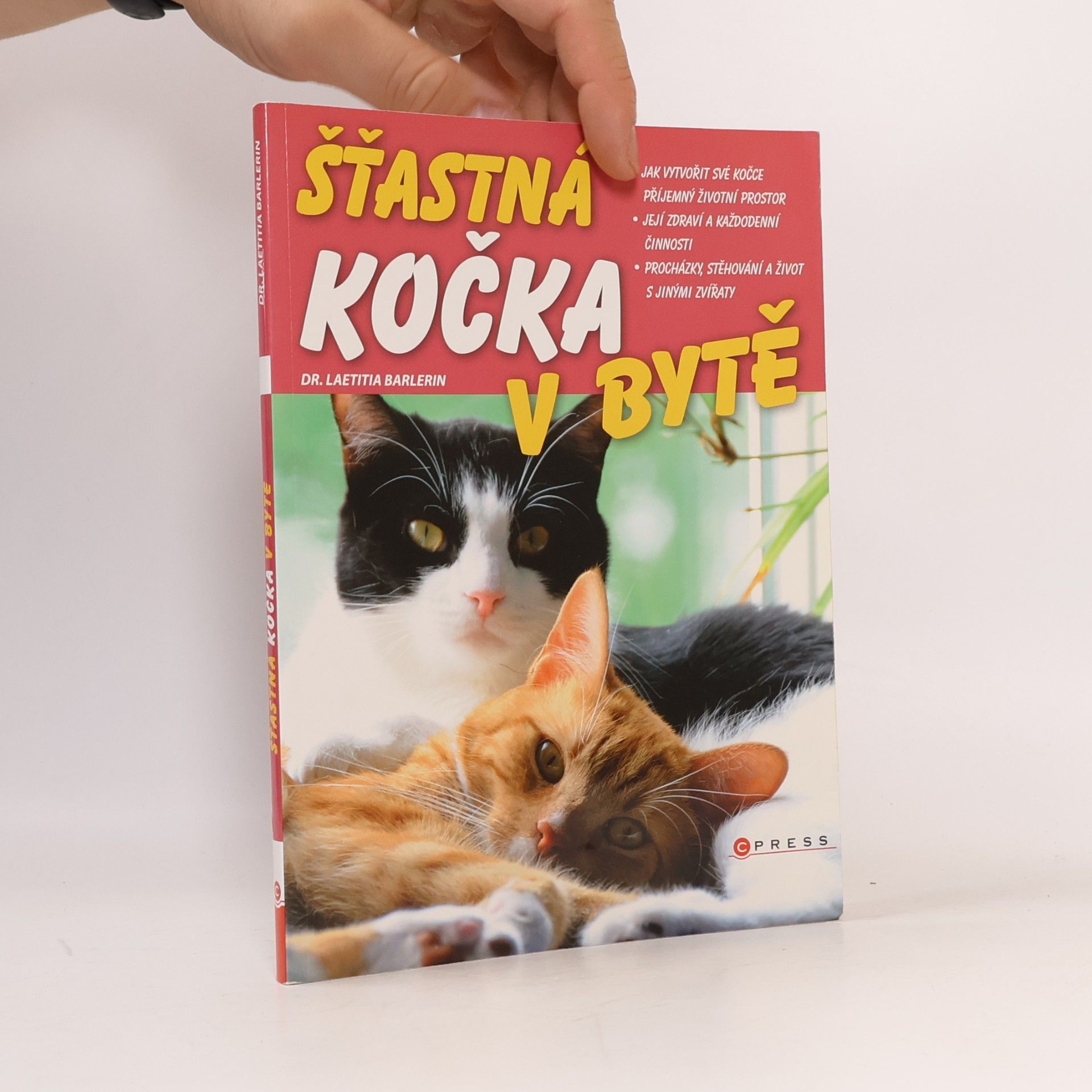 Šťastná kočka v bytě