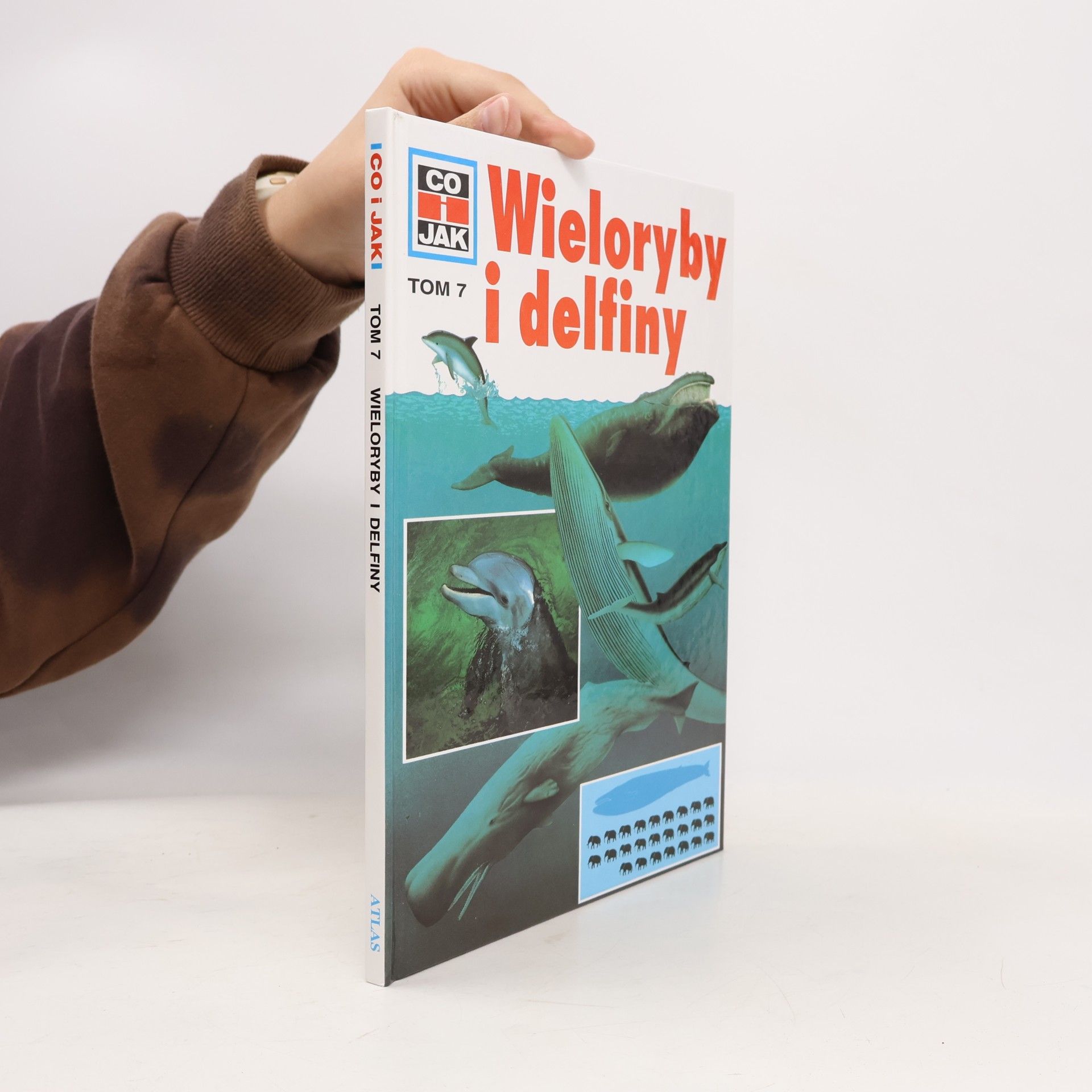 Autorenkollektiv CO i JAK - 7: Wieloryby i delfiny