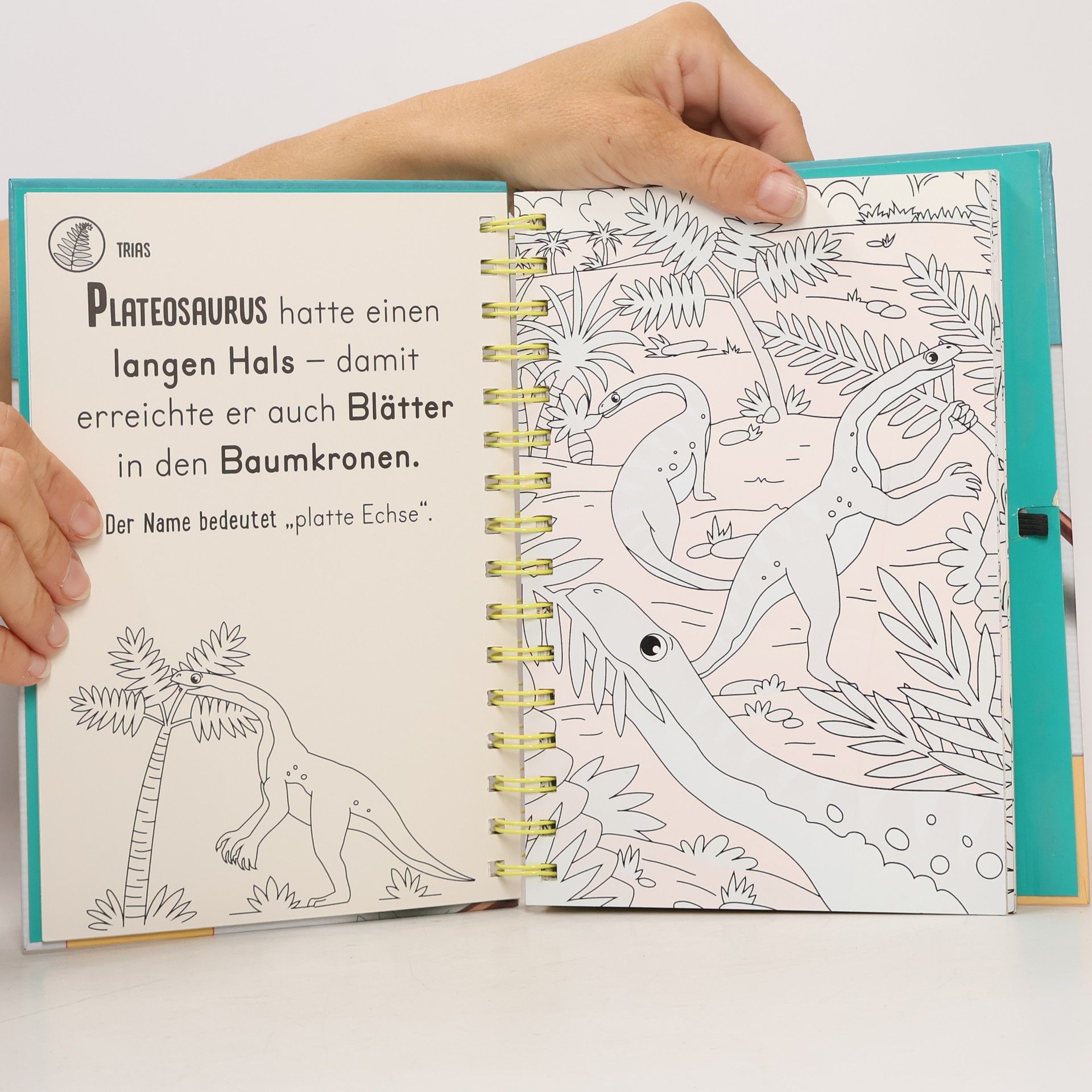 Autorenkollektiv Dinosaurier